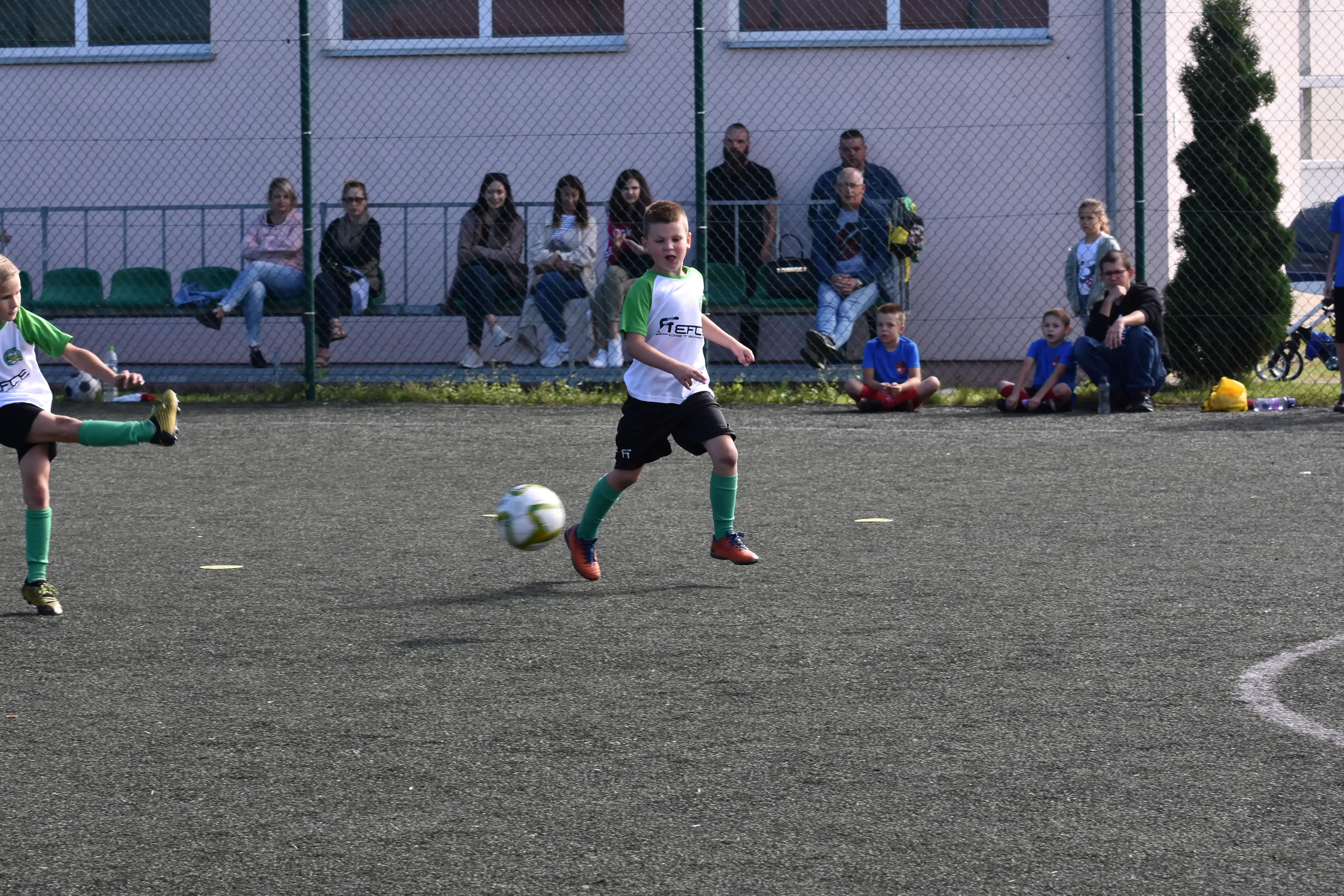 DSC_0008_csmf4d.webp