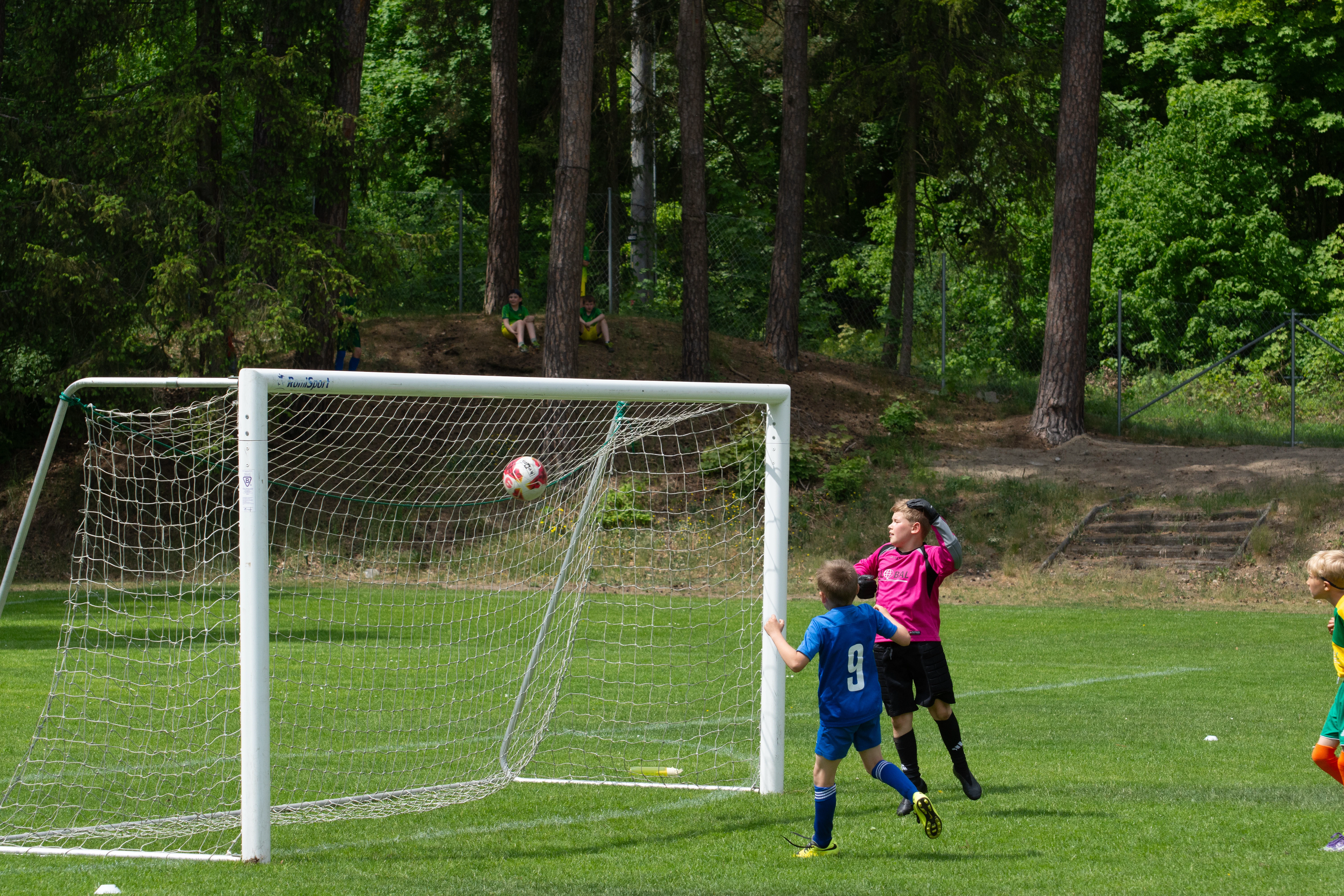 DSC_4208.webp
