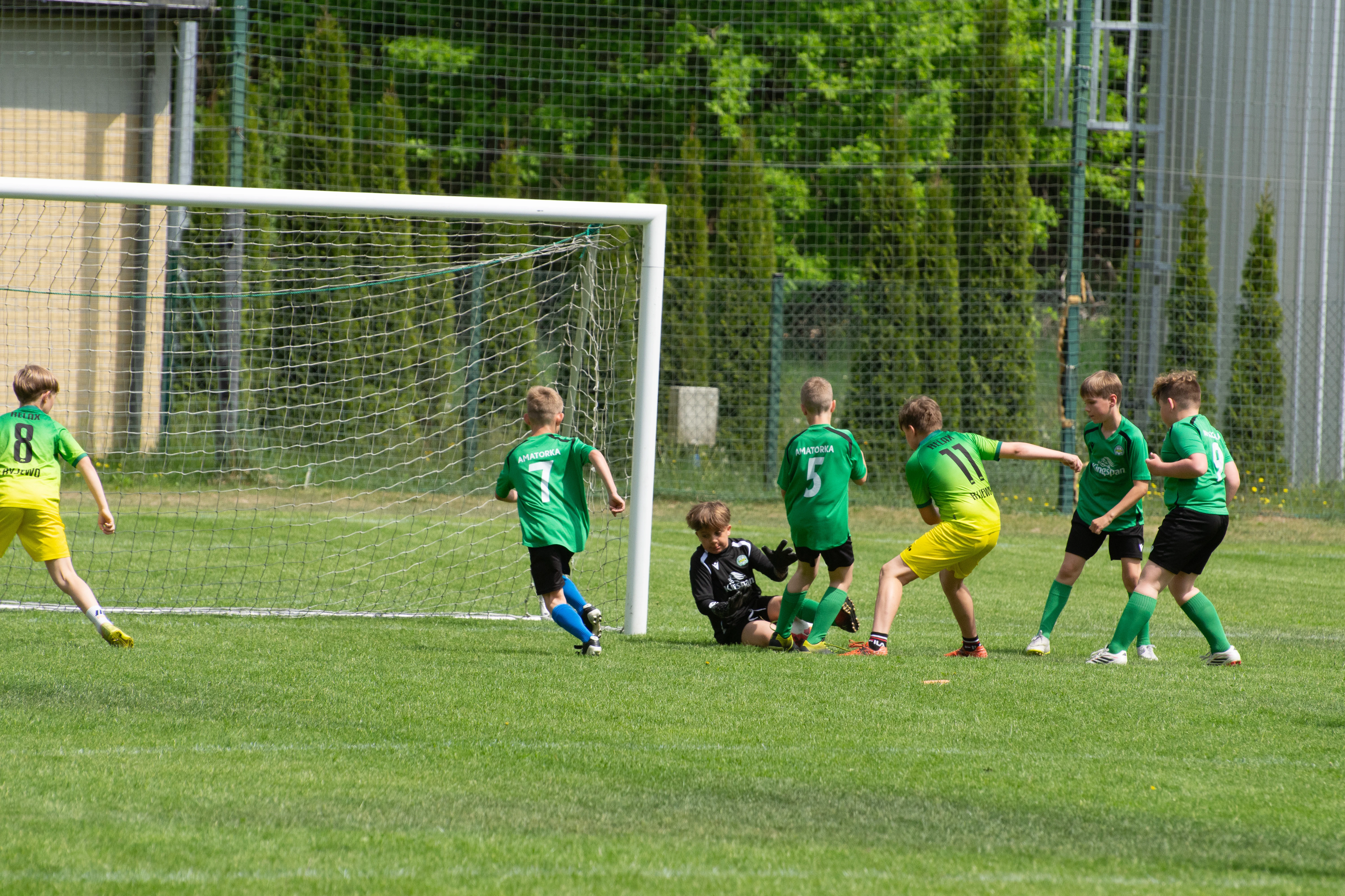 DSC_4233.webp