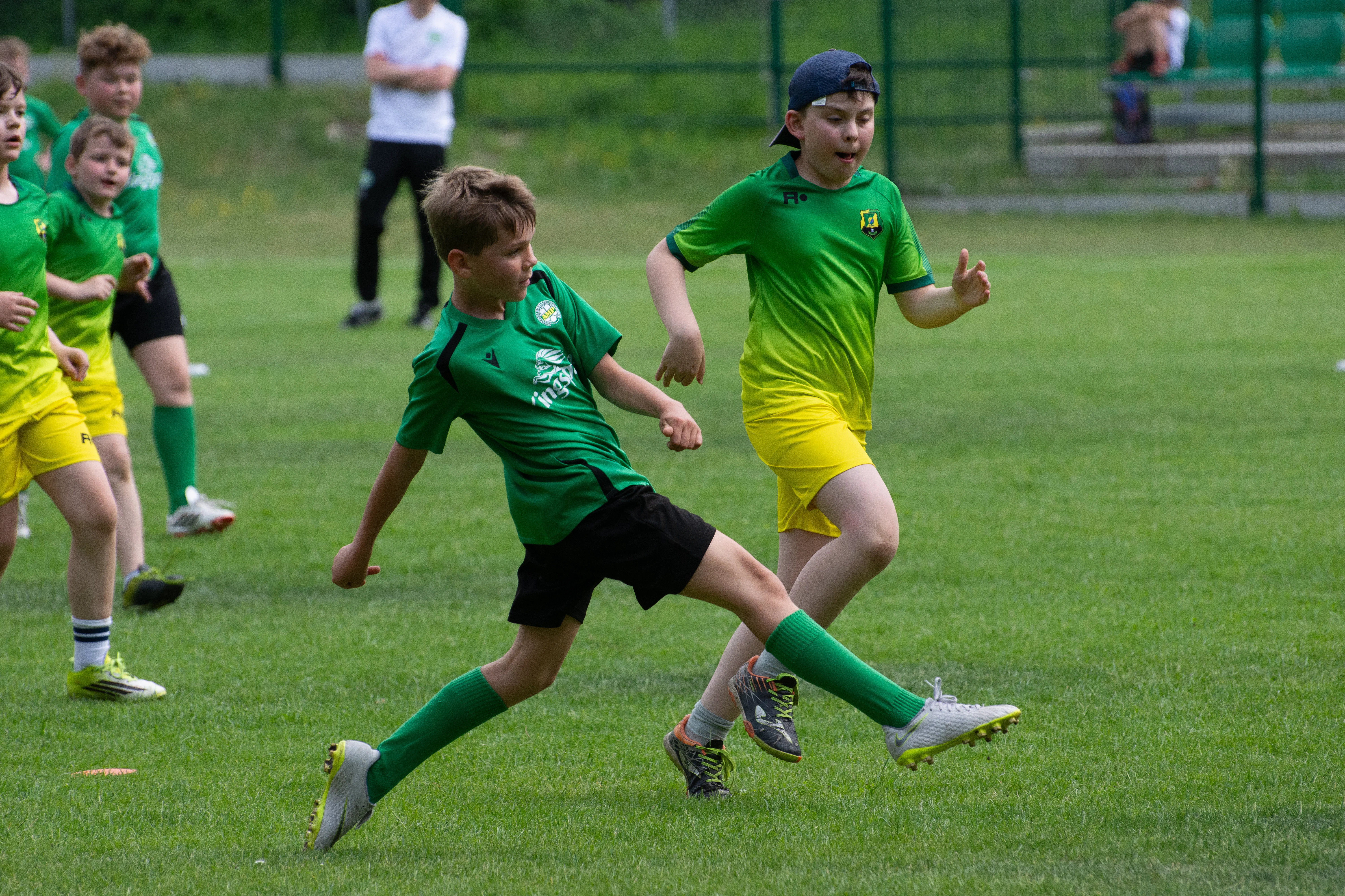 DSC_4252.webp