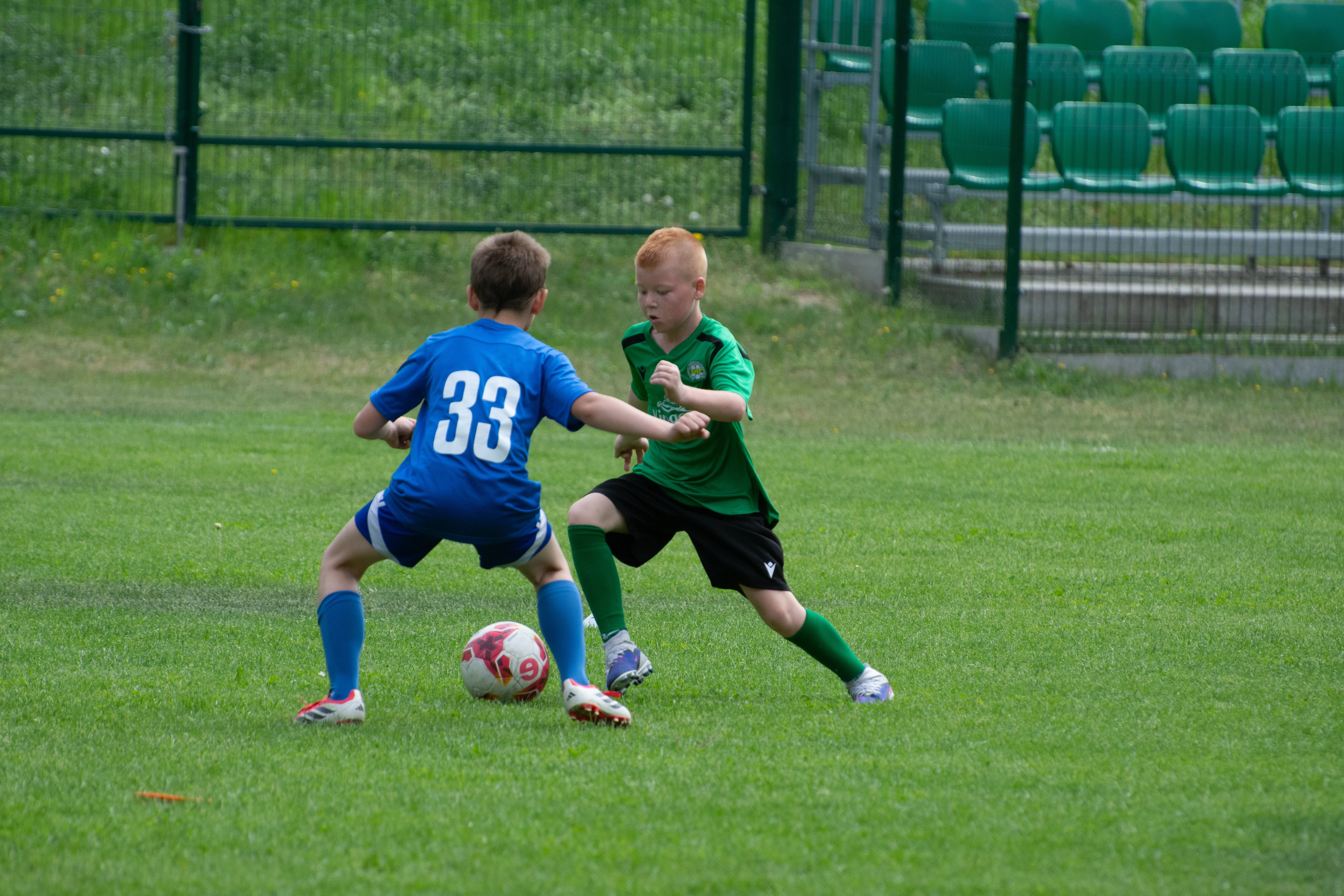 DSC_4267.webp
