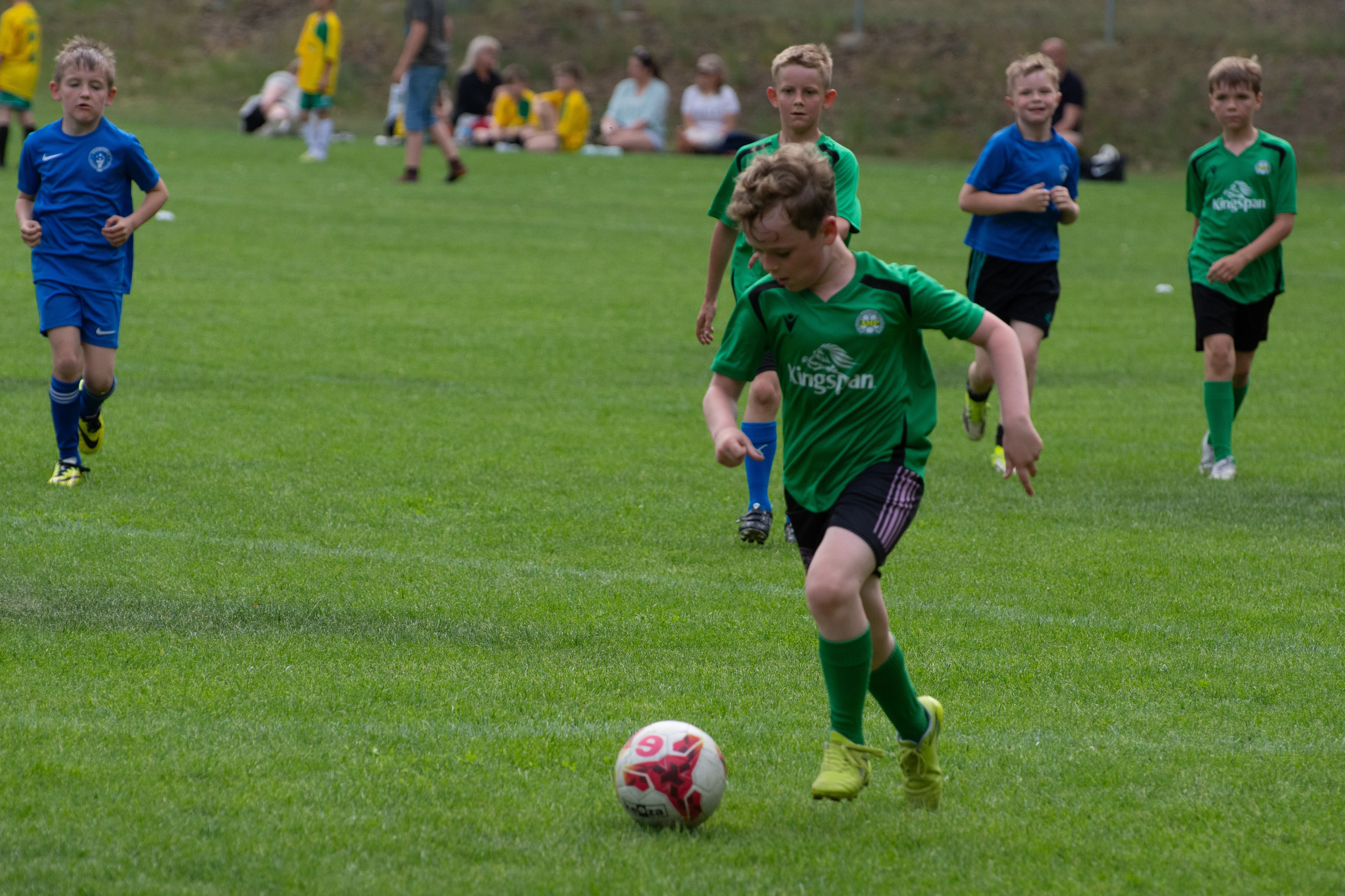 DSC_4276.webp