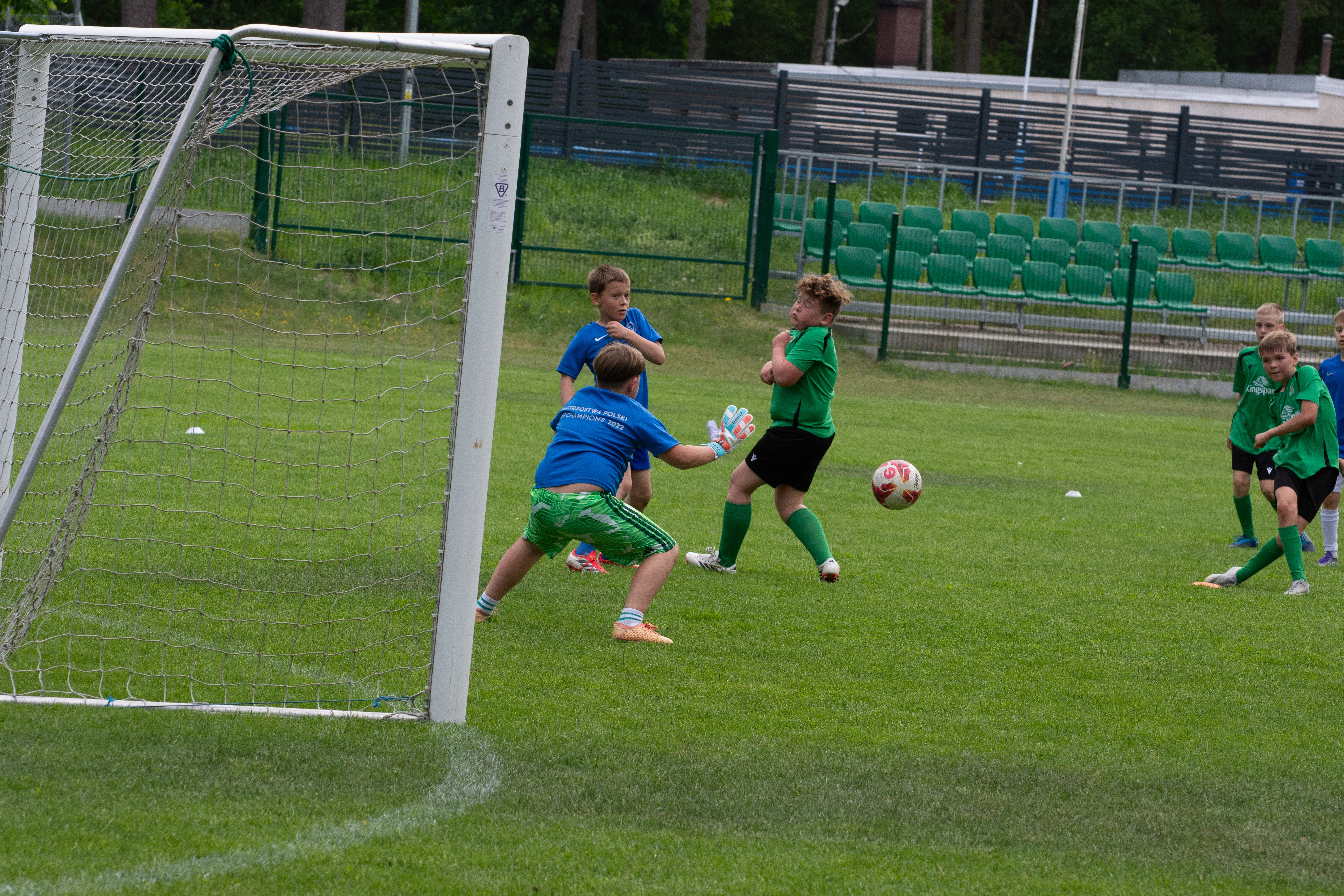 DSC_4291.webp