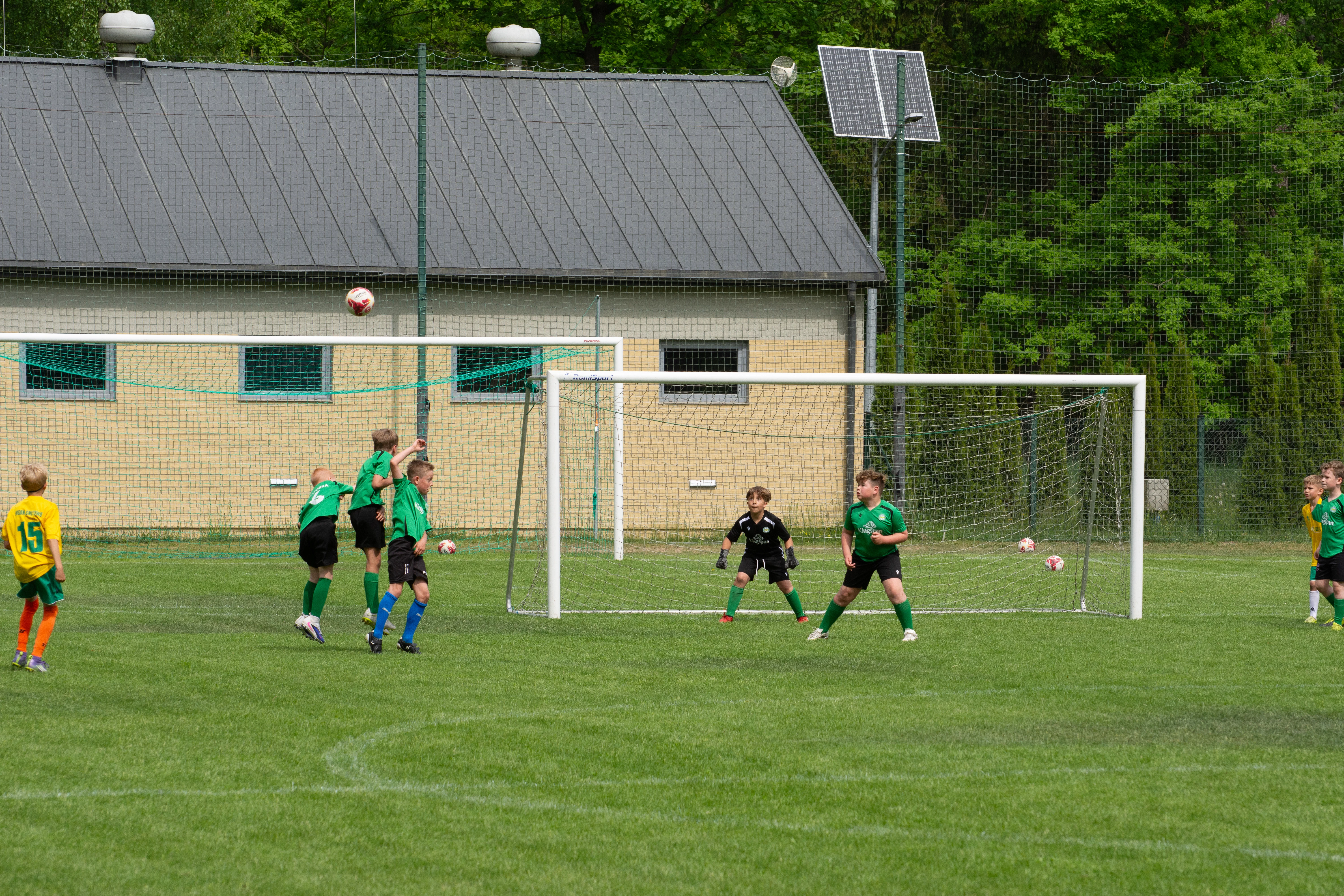 DSC_4312.webp