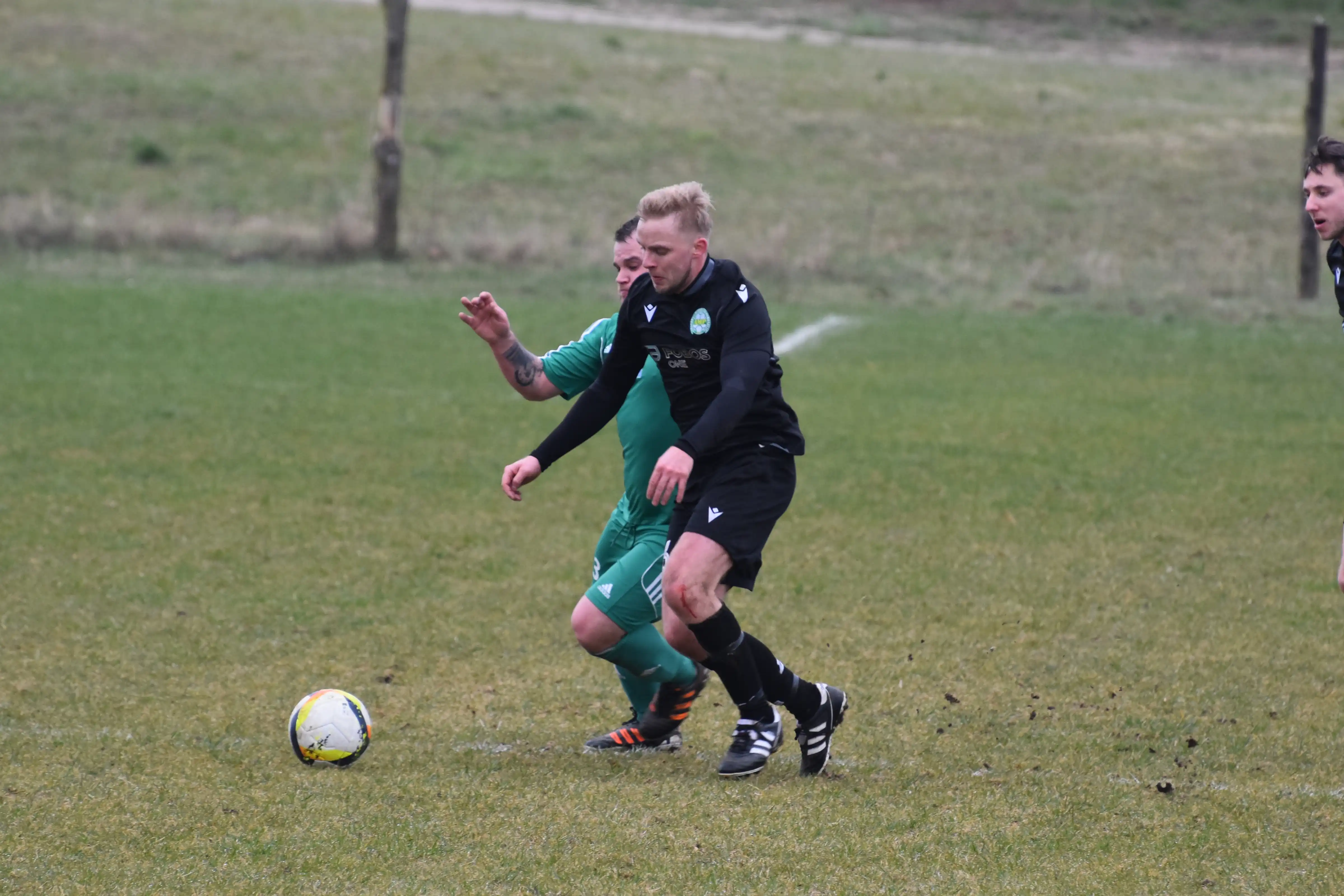 DSC_2383_uflv6o.webp