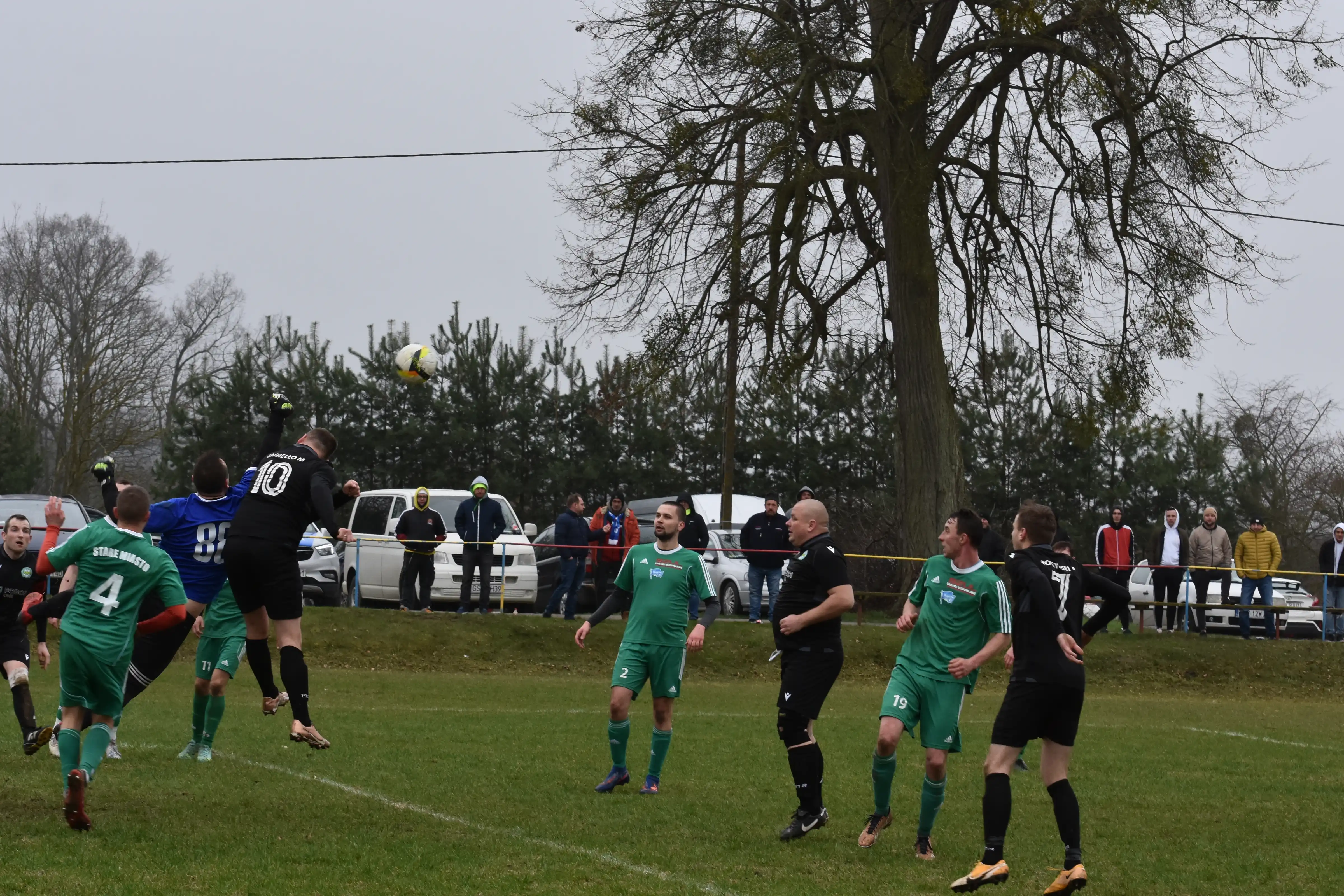 DSC_2435_gaugyr.webp