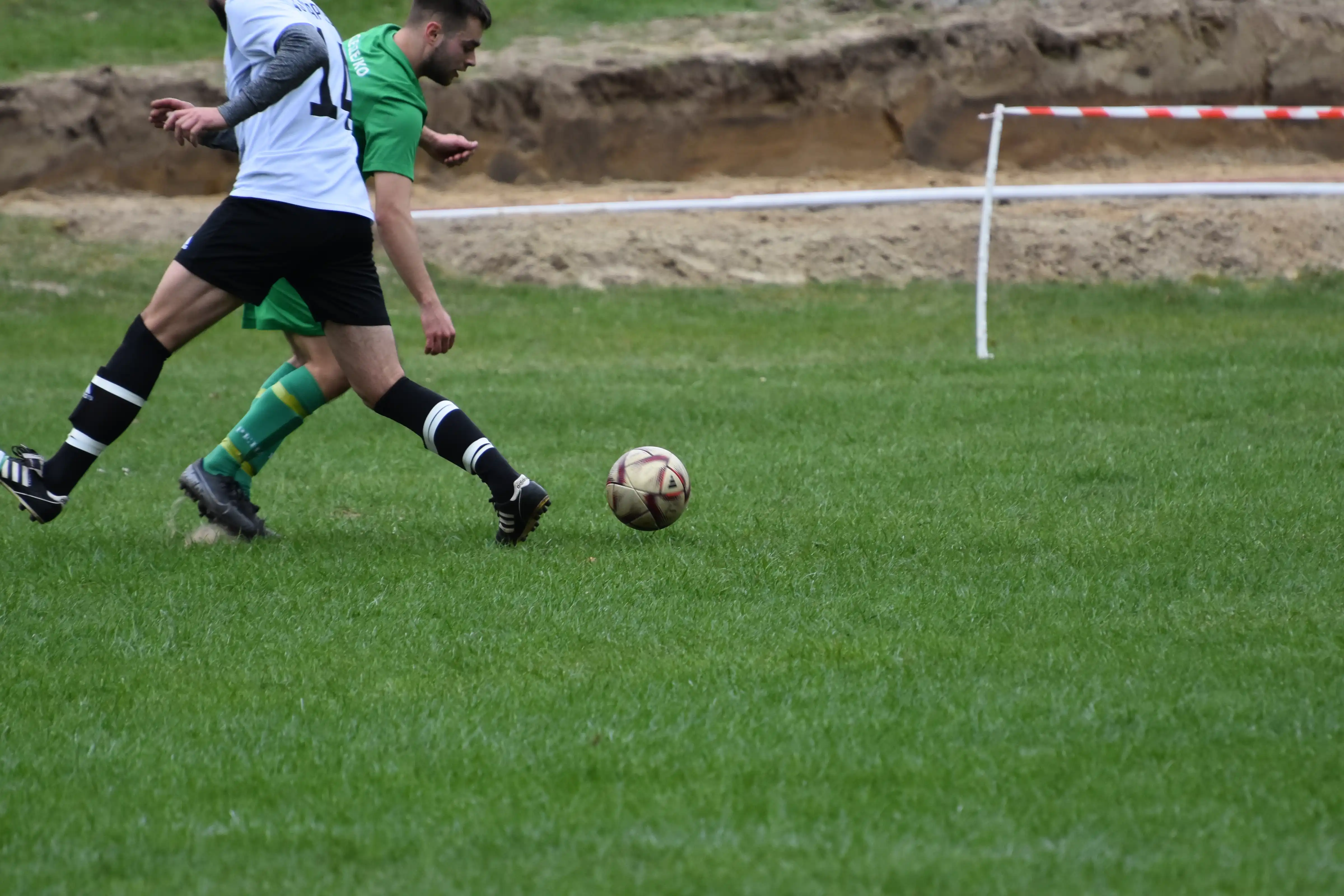 DSC_2501_icgrbk.webp