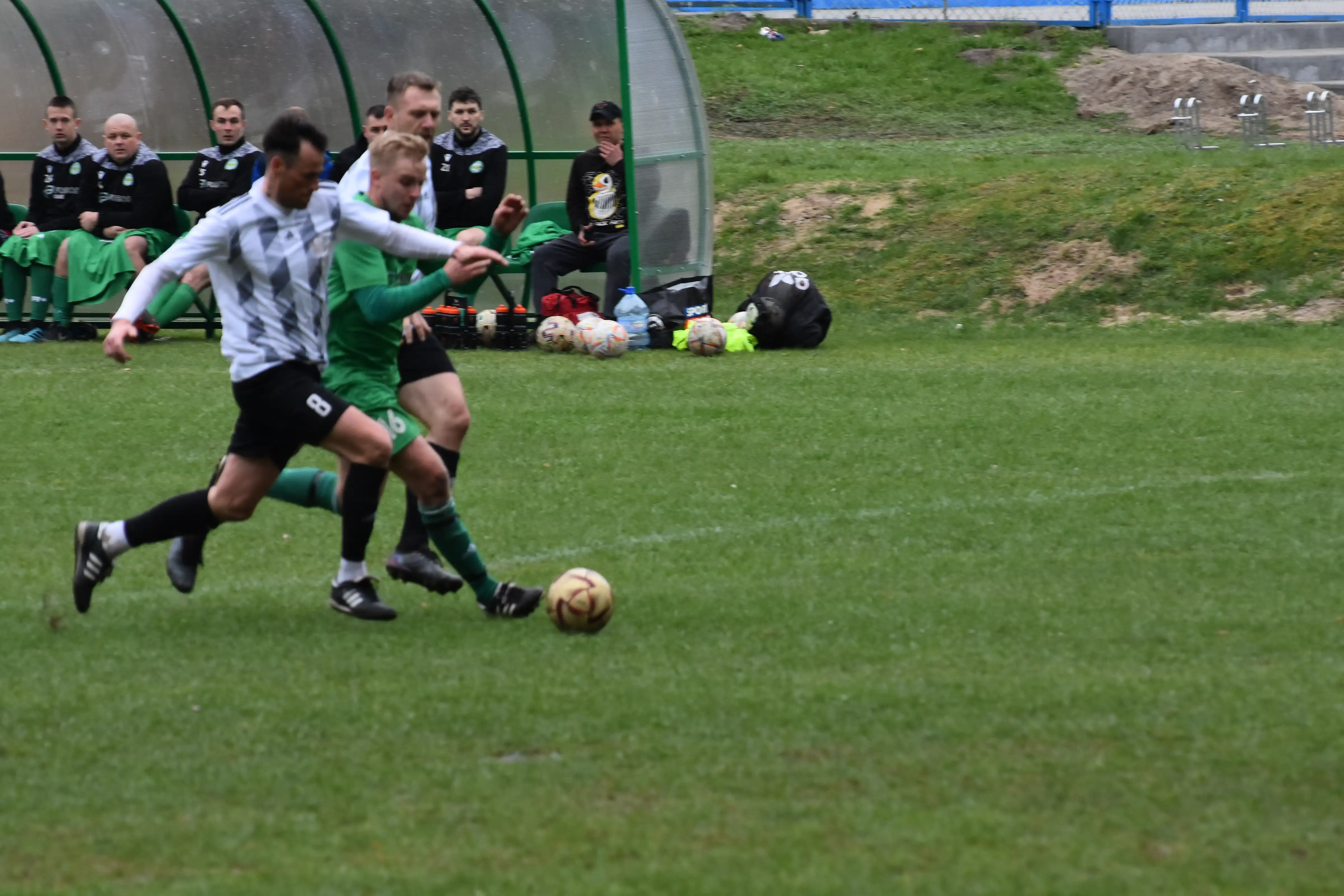 DSC_2554_upnzdm.webp