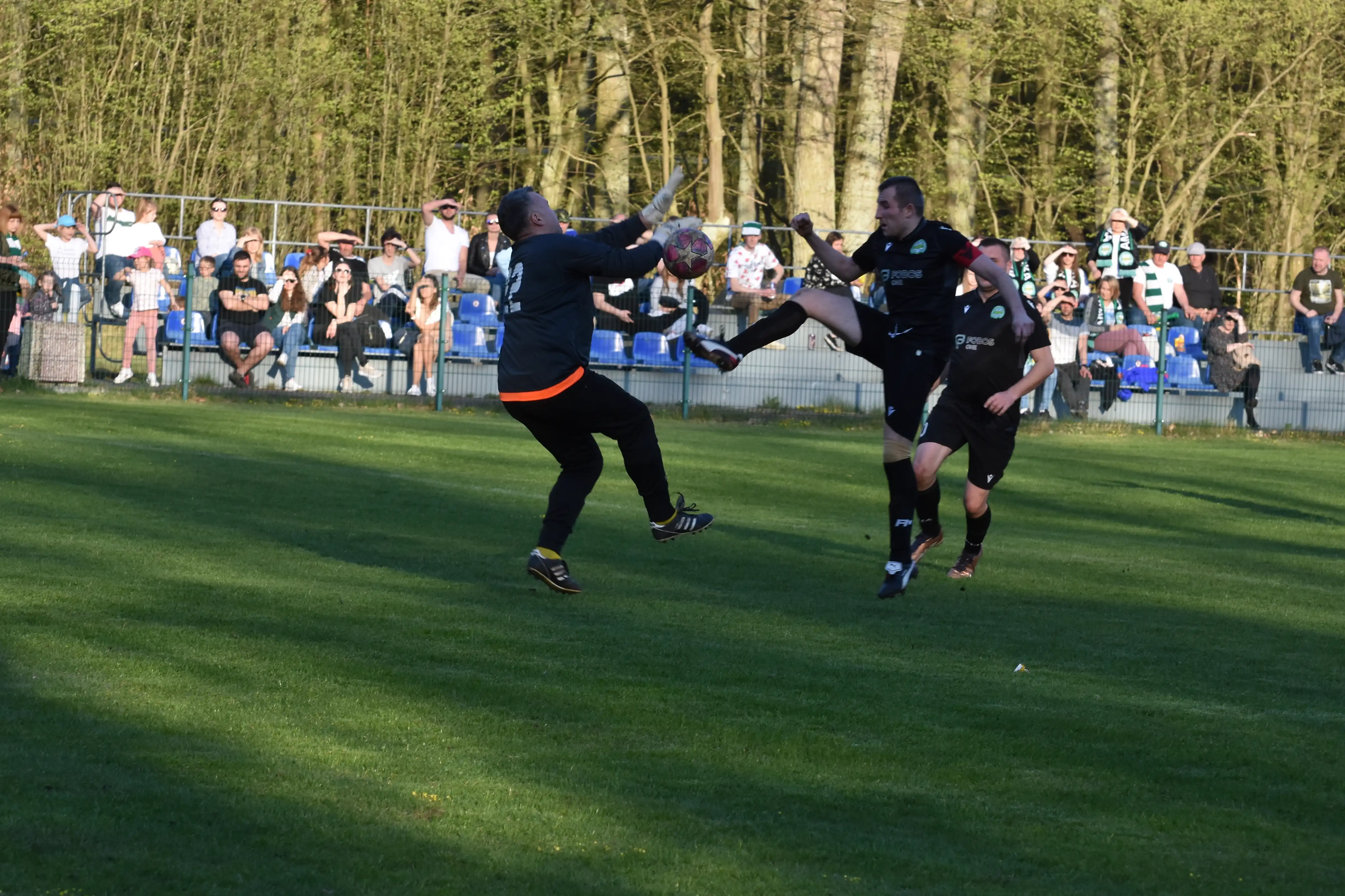 DSC_2659_y6m2y7.webp