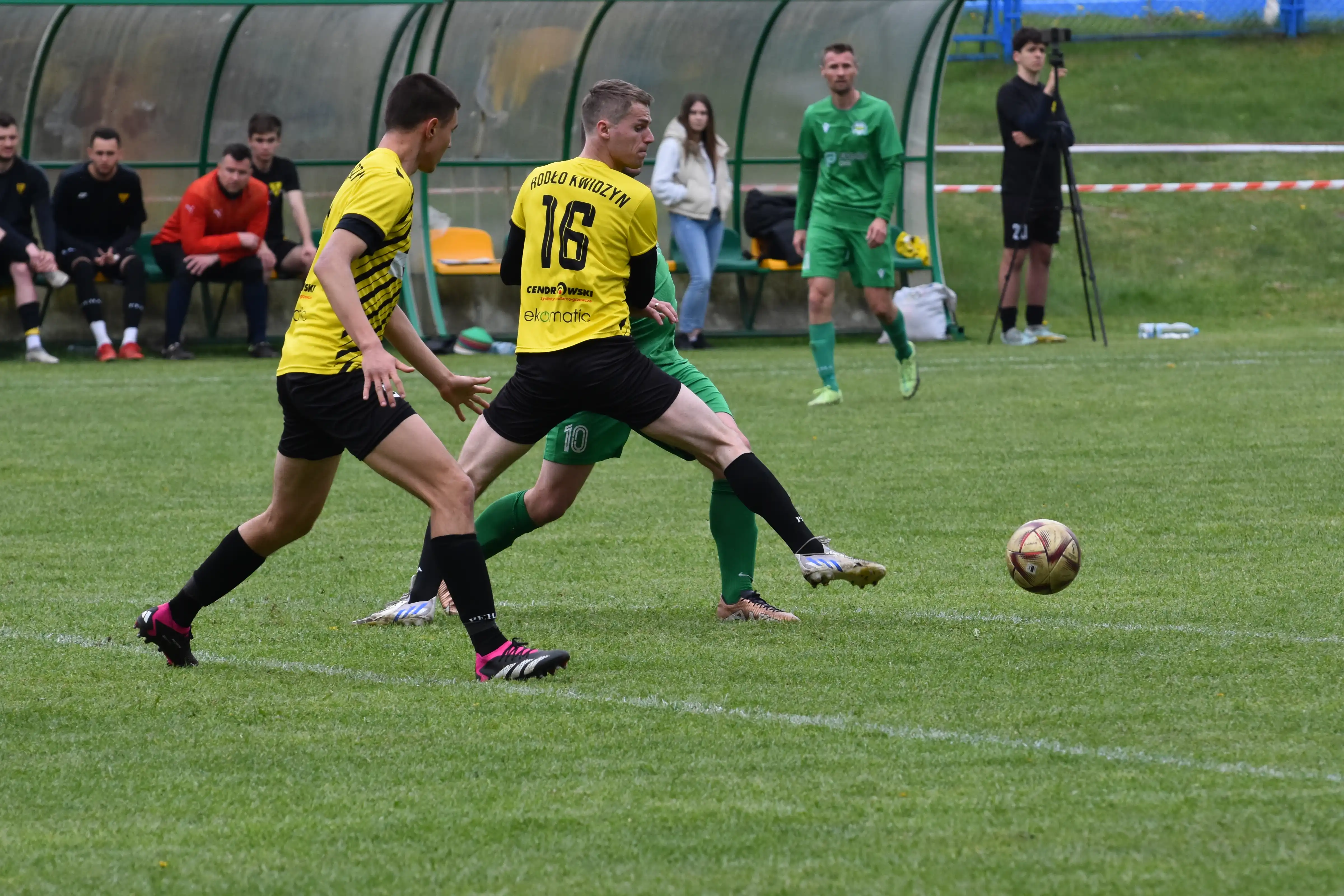 DSC_2741_dnzkmj.webp