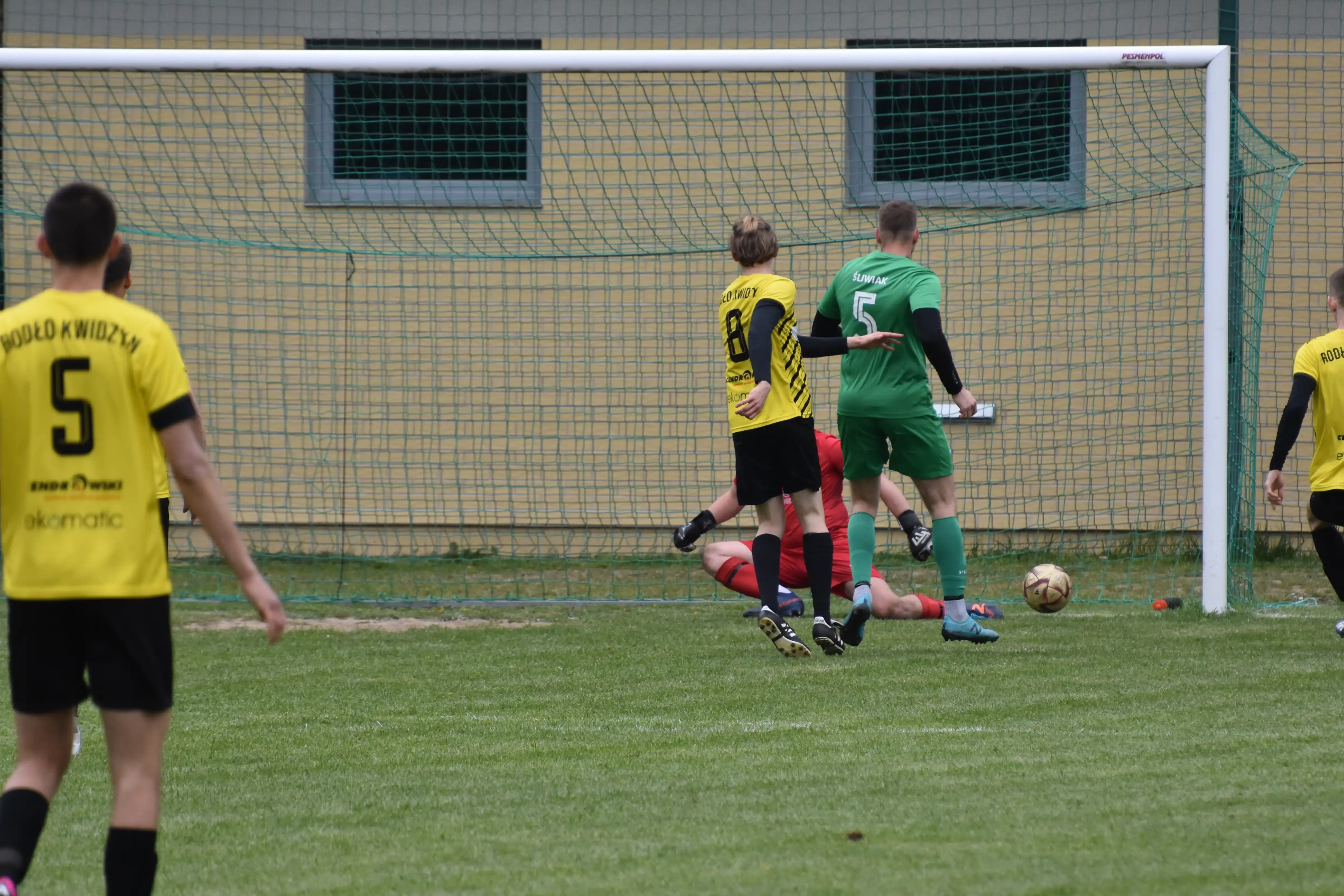 DSC_2784_n6kp6x.webp
