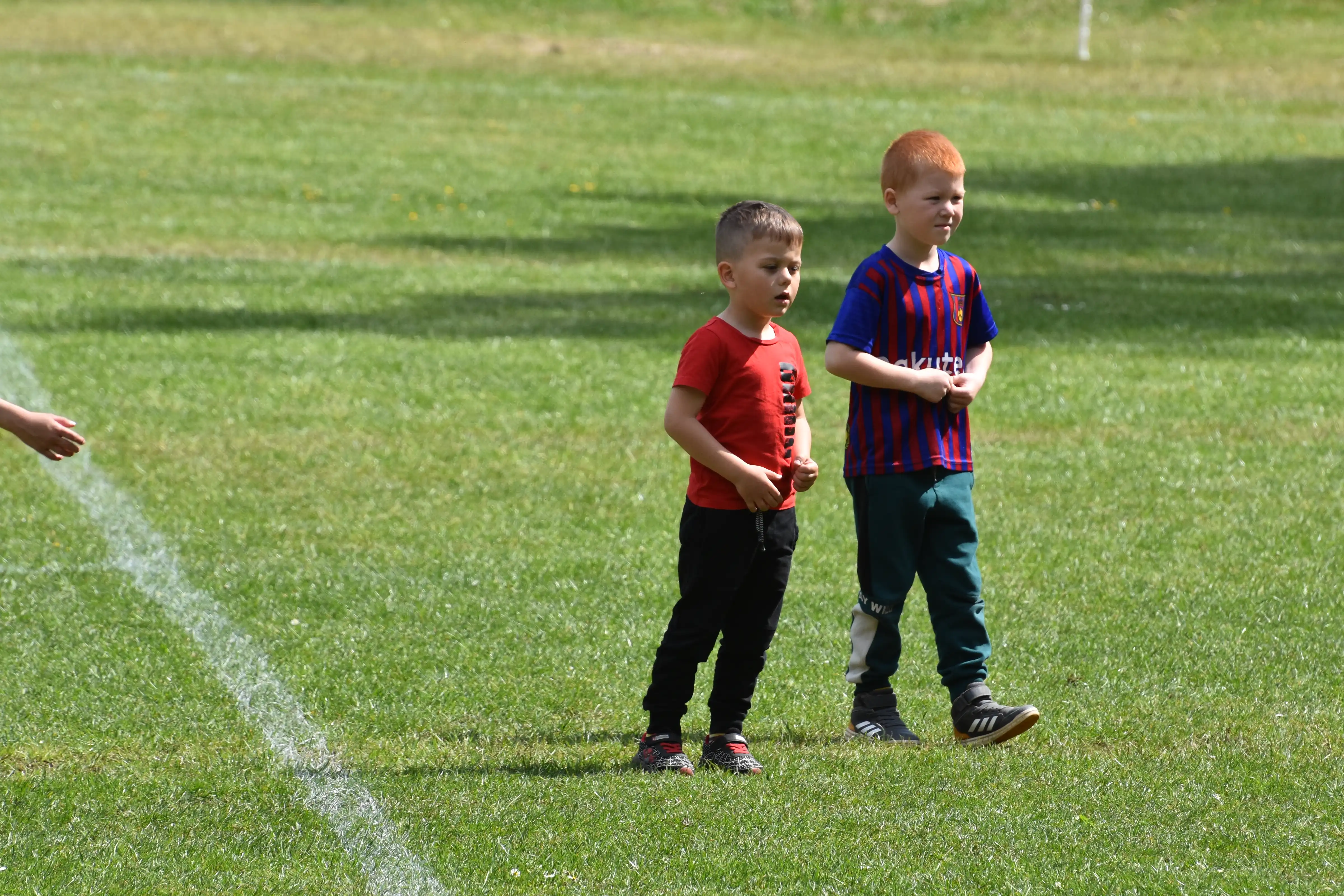DSC_3040_shc03s.webp