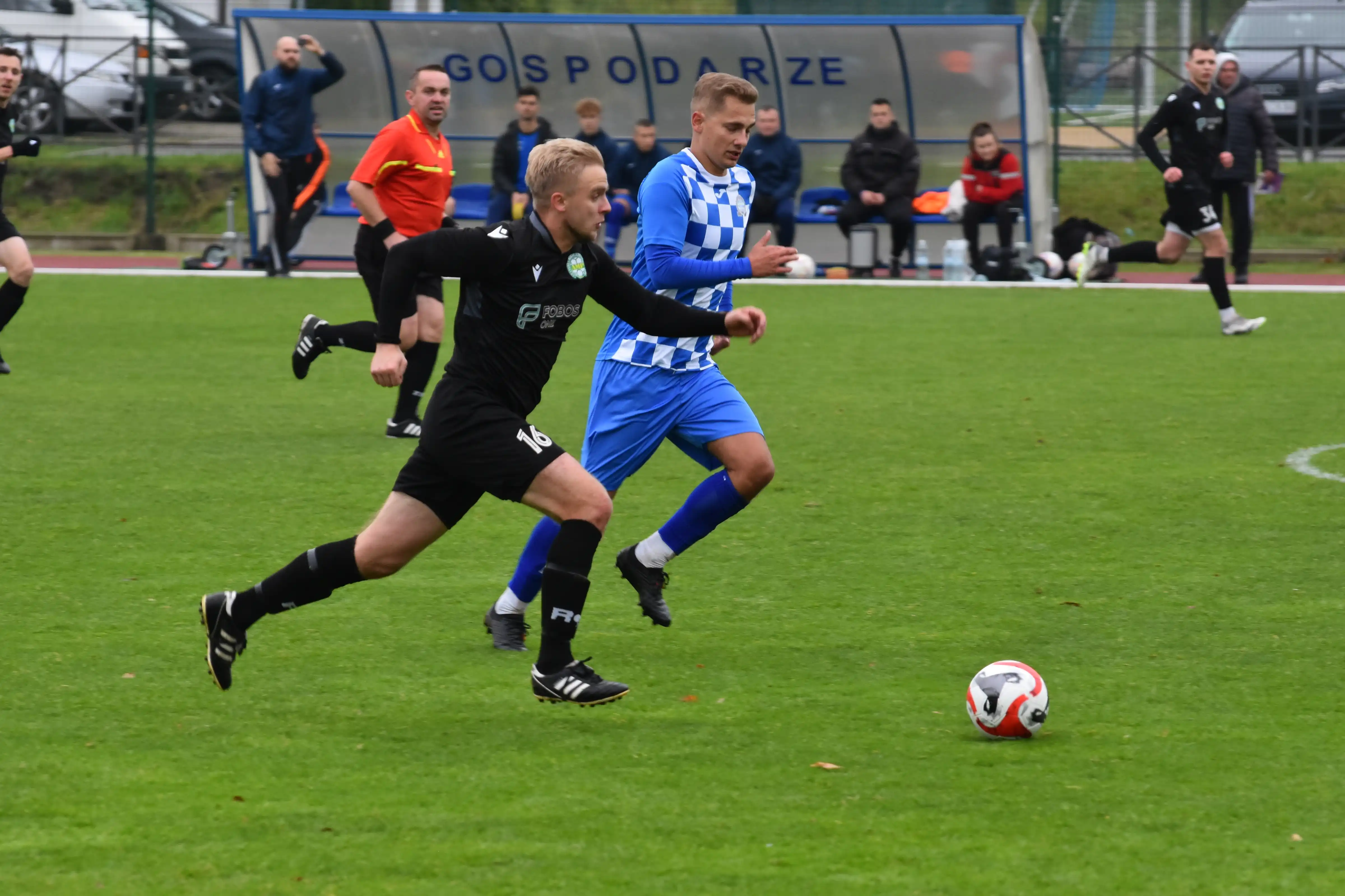 DSC_4599_avlafu.webp