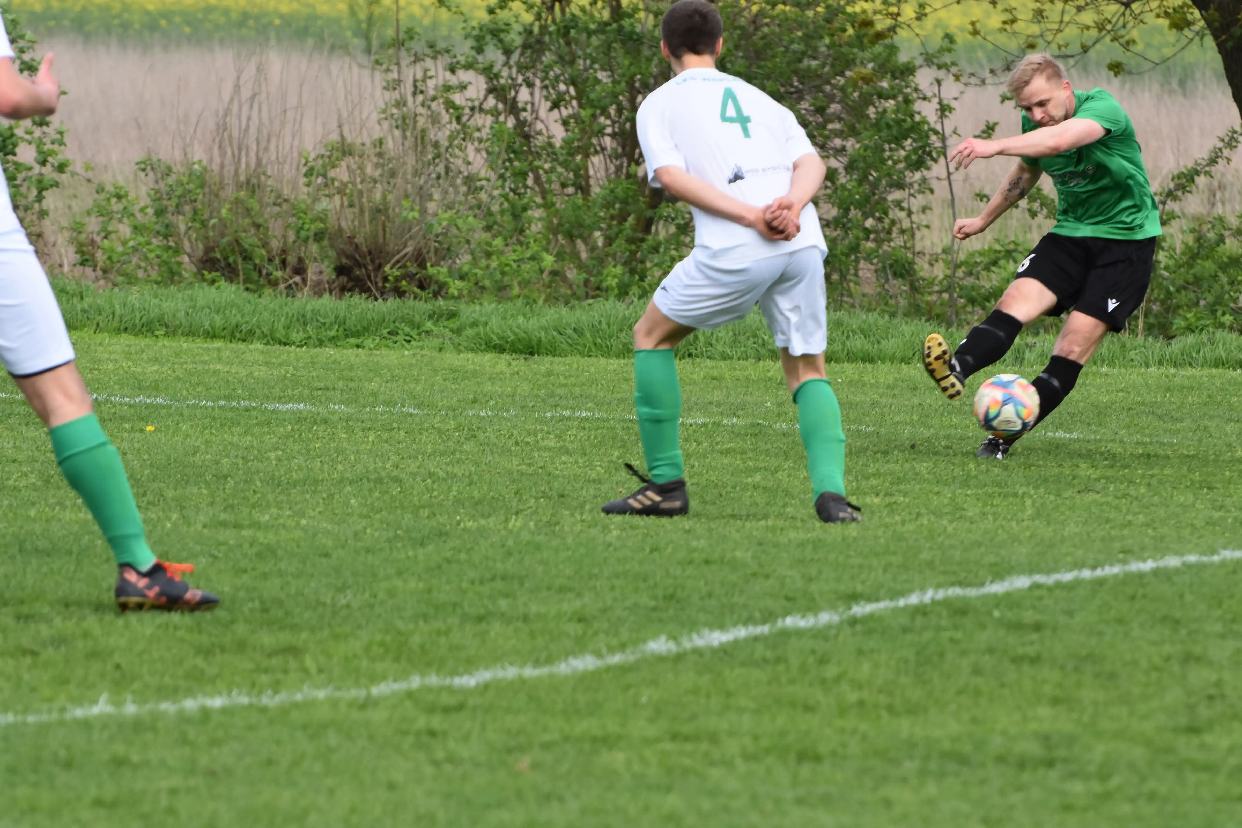 DSC_5158_ipbp6z.webp