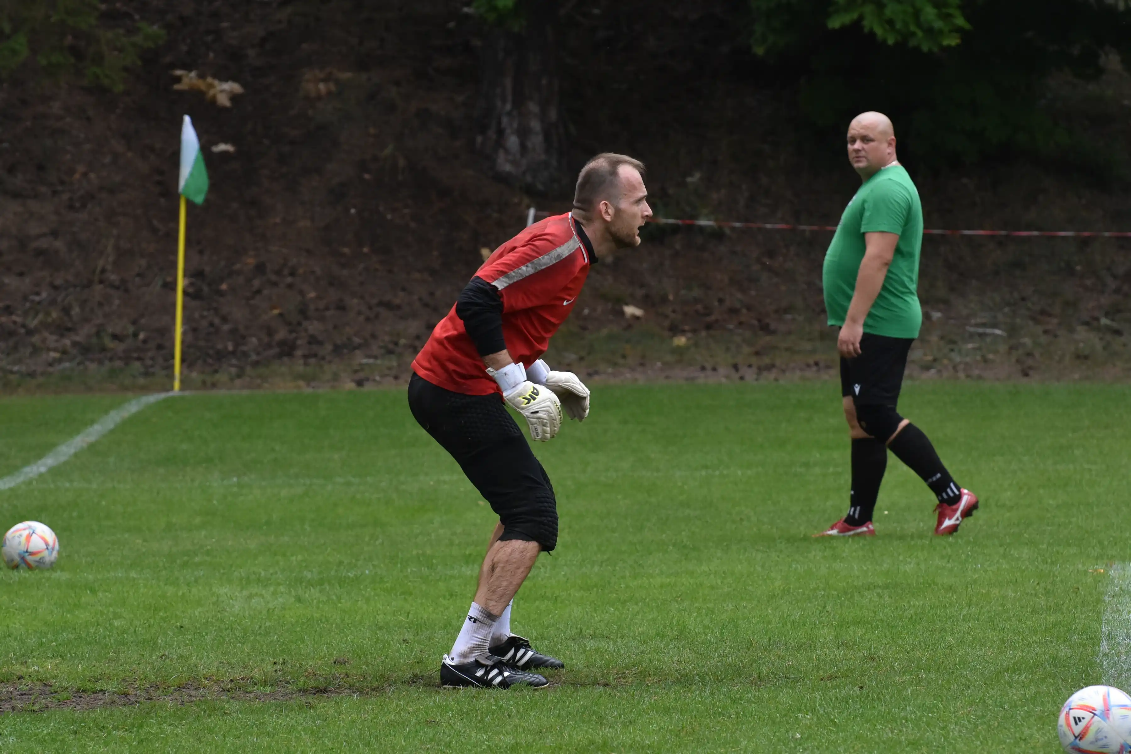 DSC_3653_dizwd3.webp