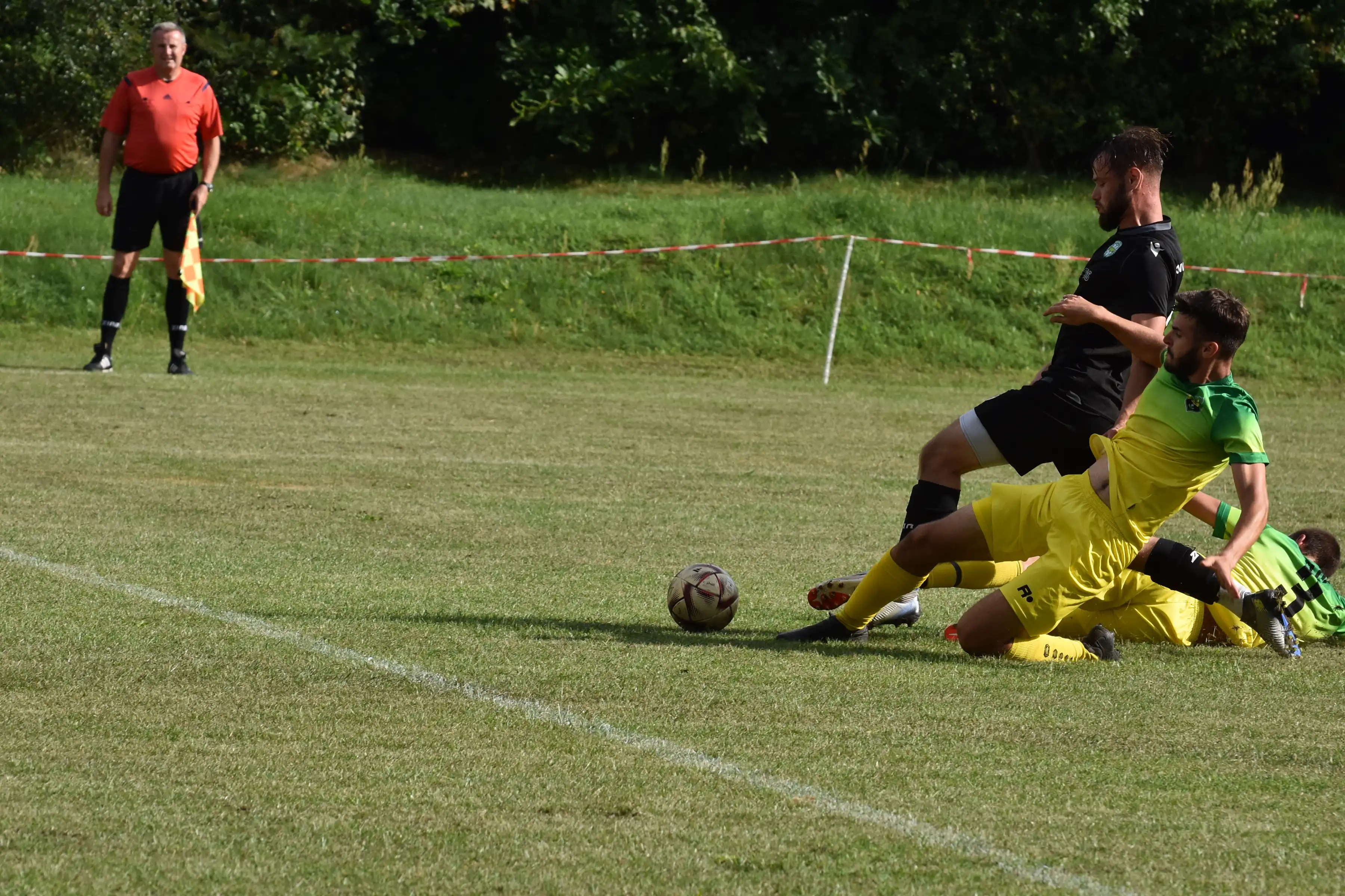 DSC_3714_t59txs.webp