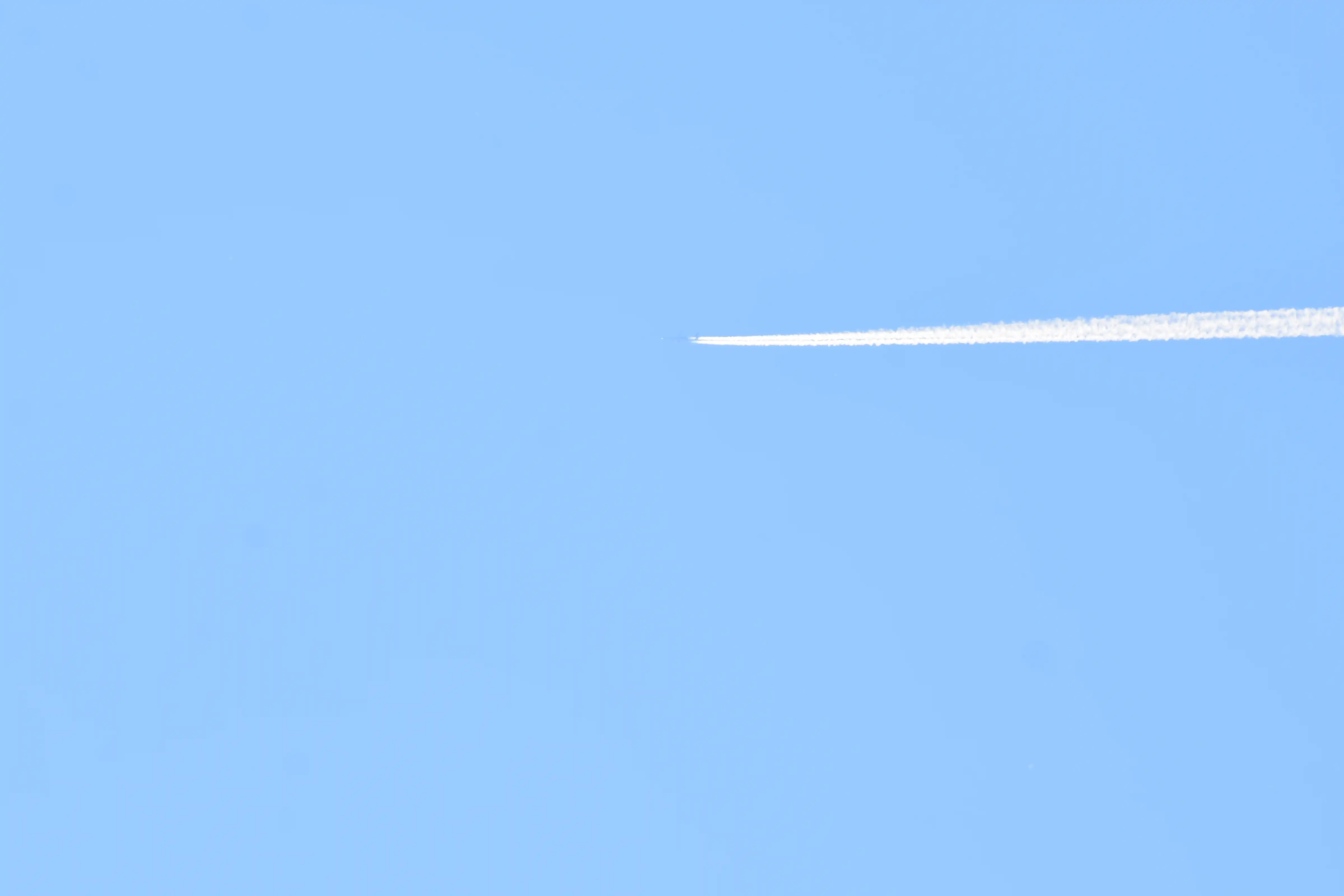 DSC_4033_r9afex.webp