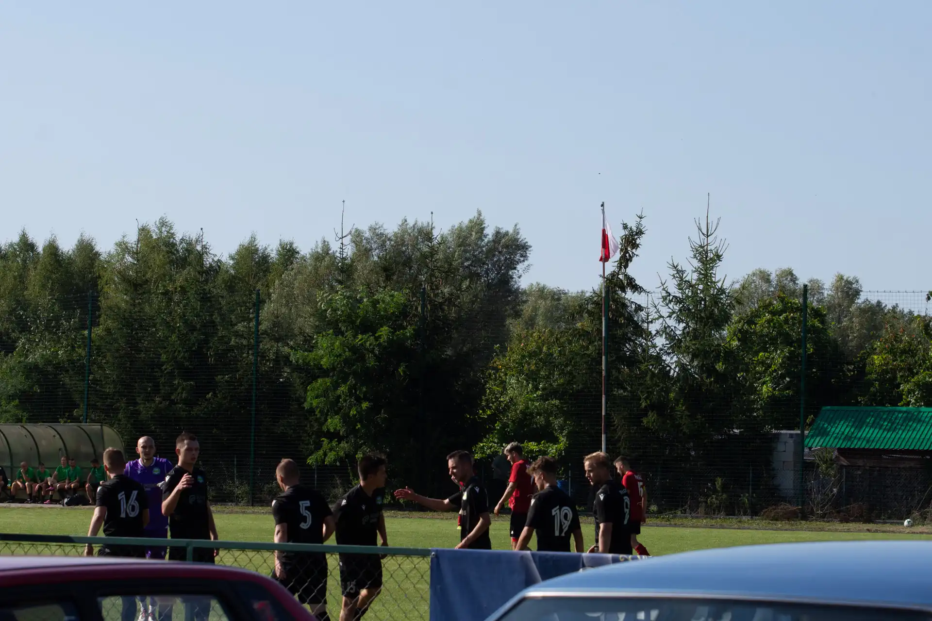 083.webp