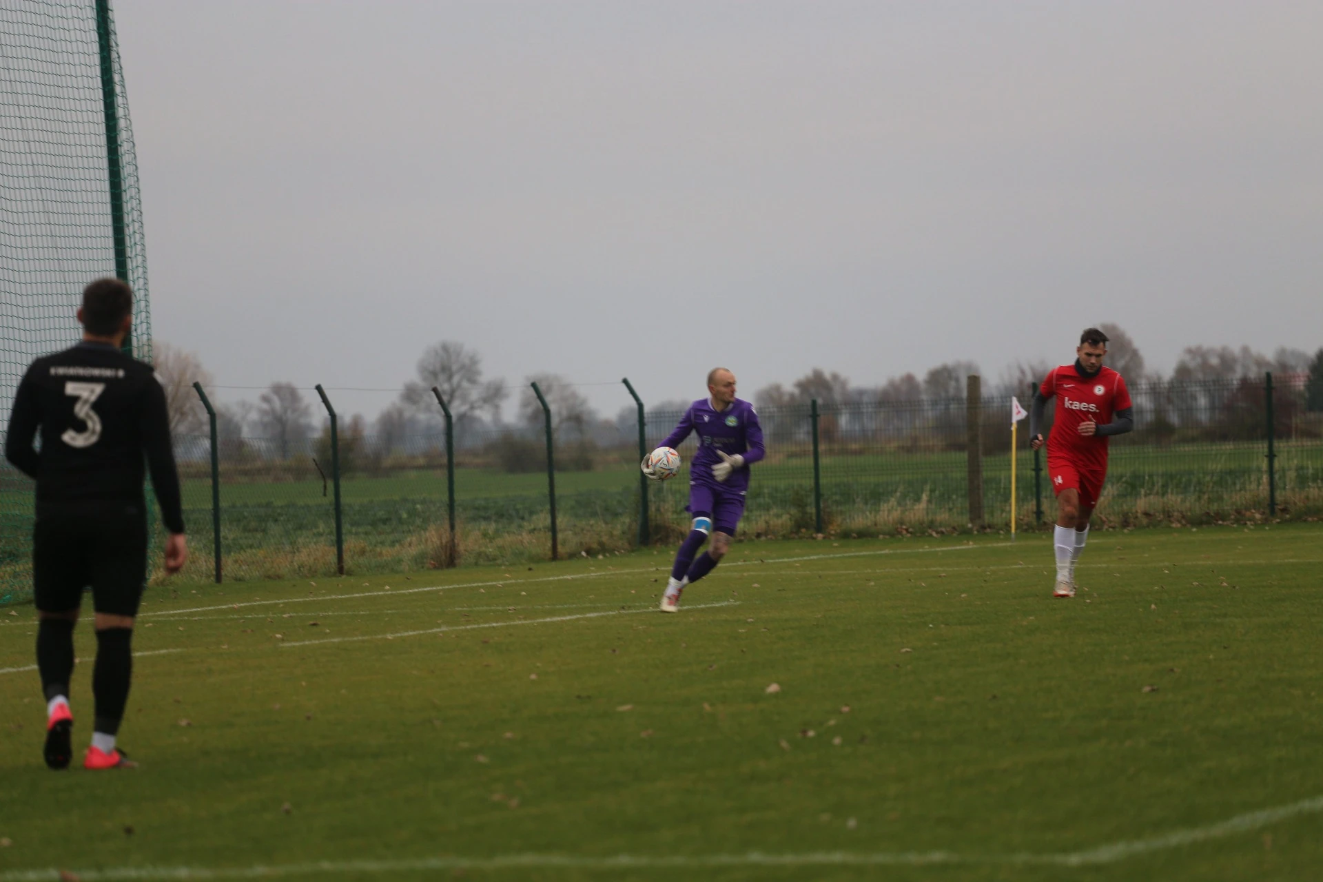 IMG_0091_lizbxk.webp