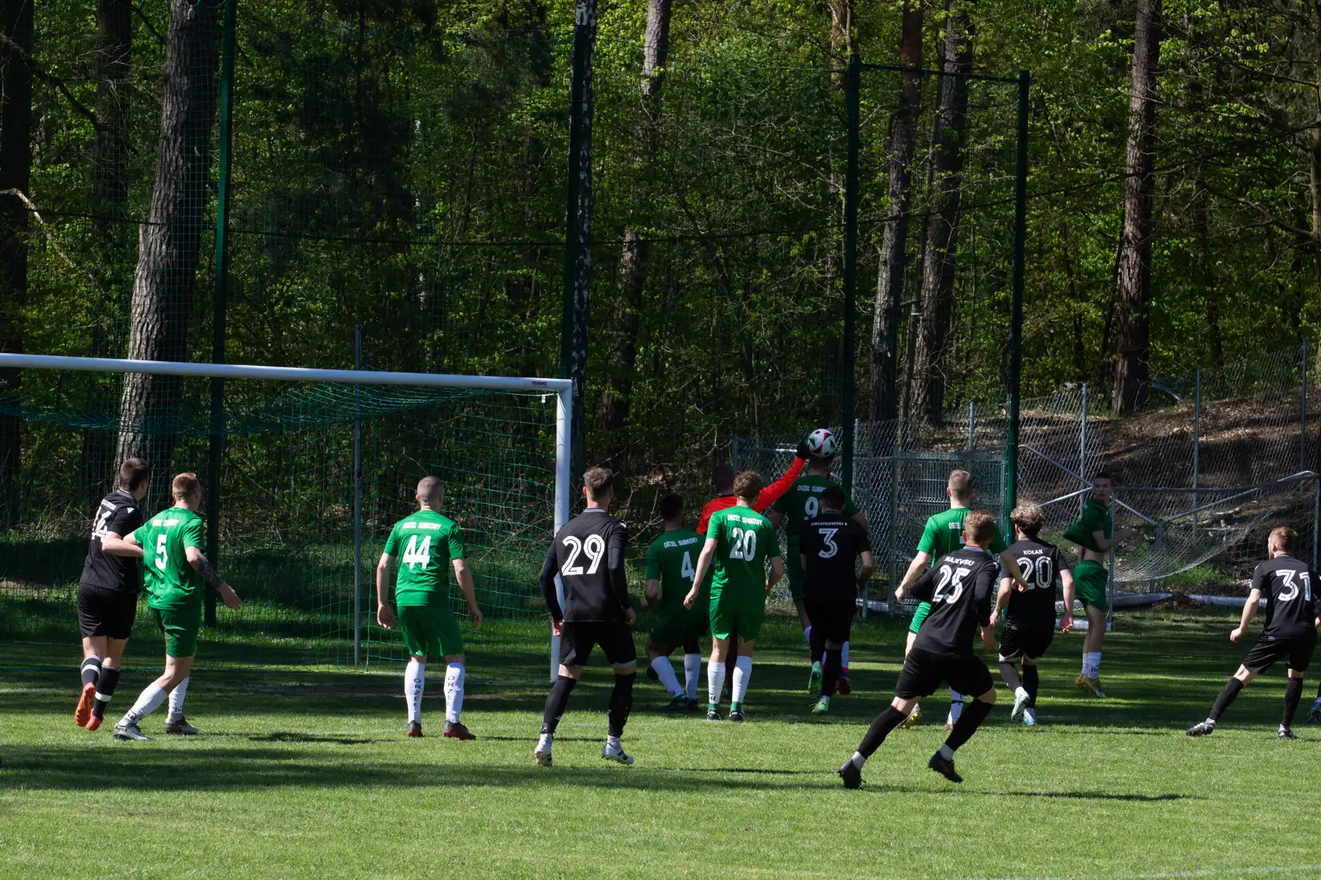 115.webp