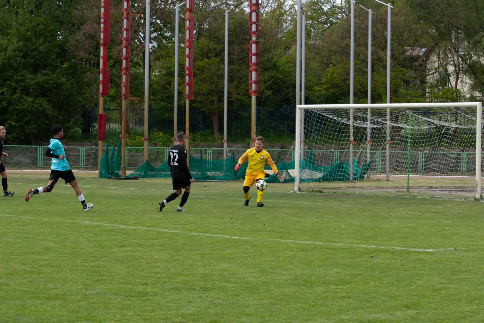 136.webp