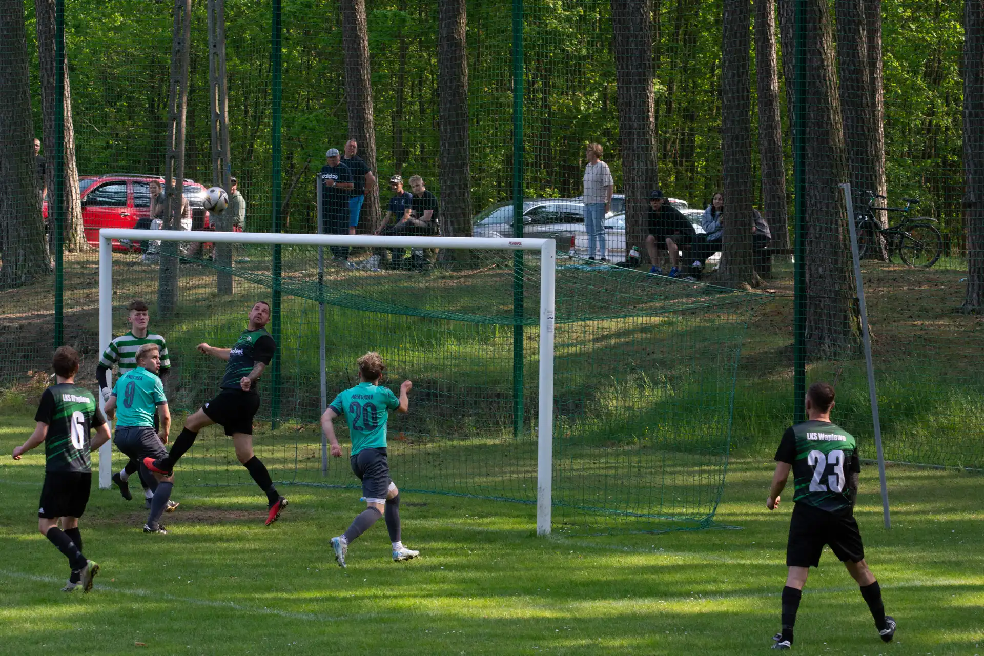 111.webp