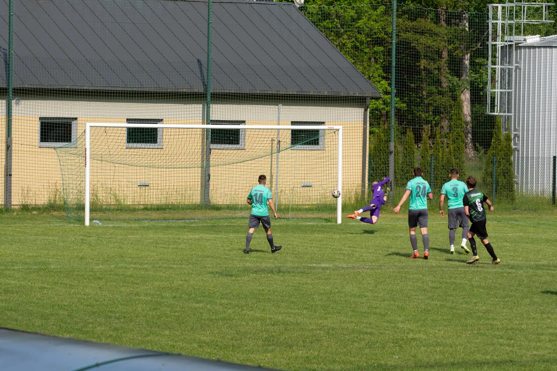 113.webp