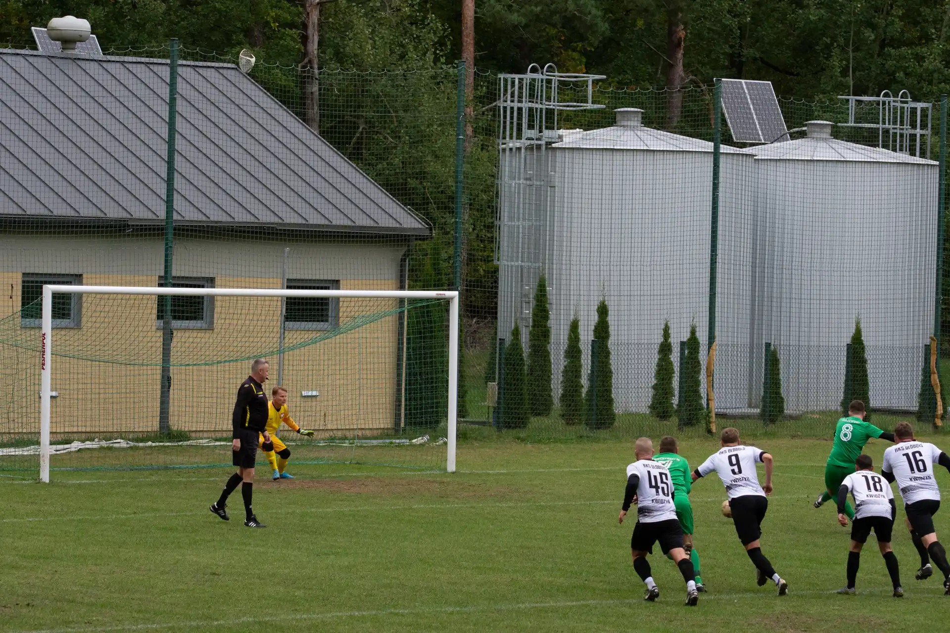 102.webp