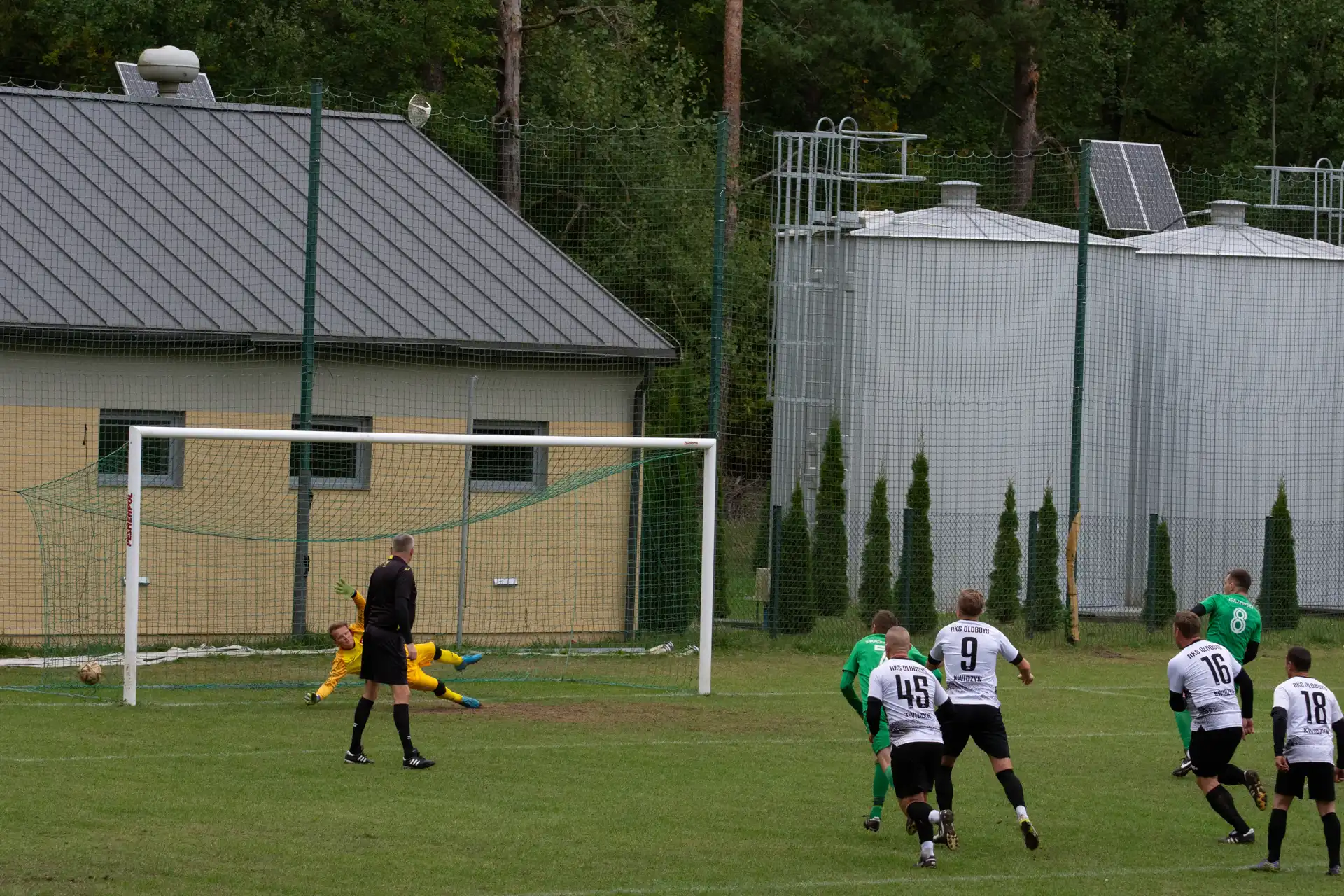 103.webp