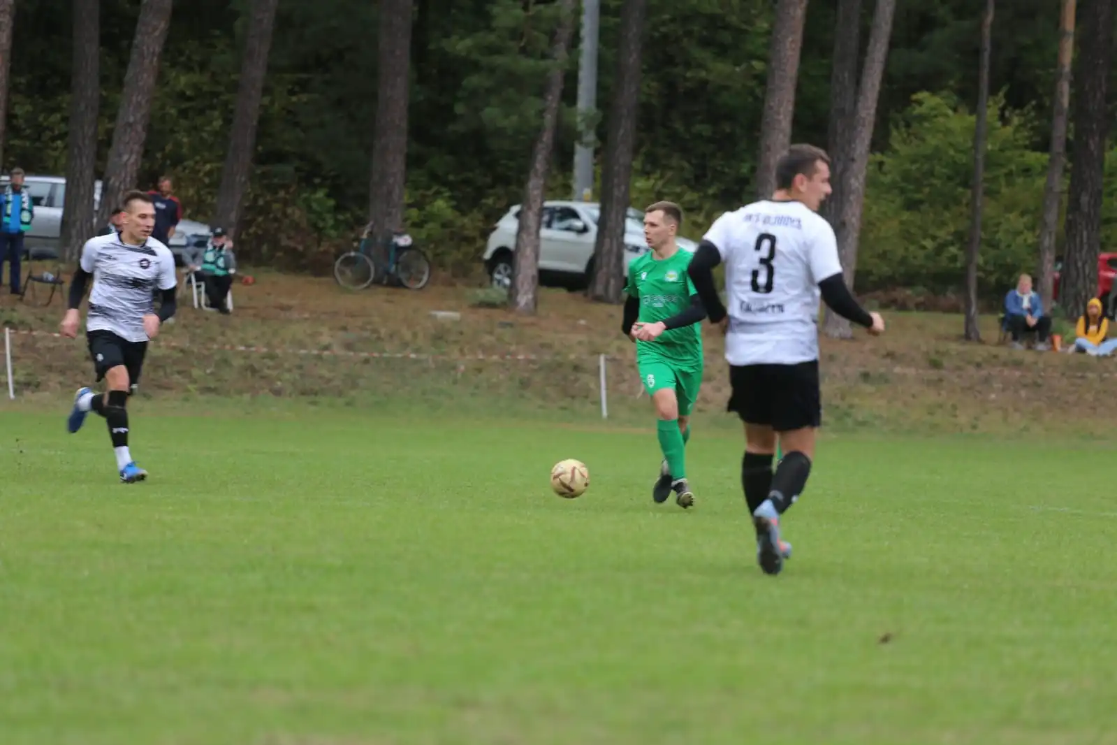 19.webp