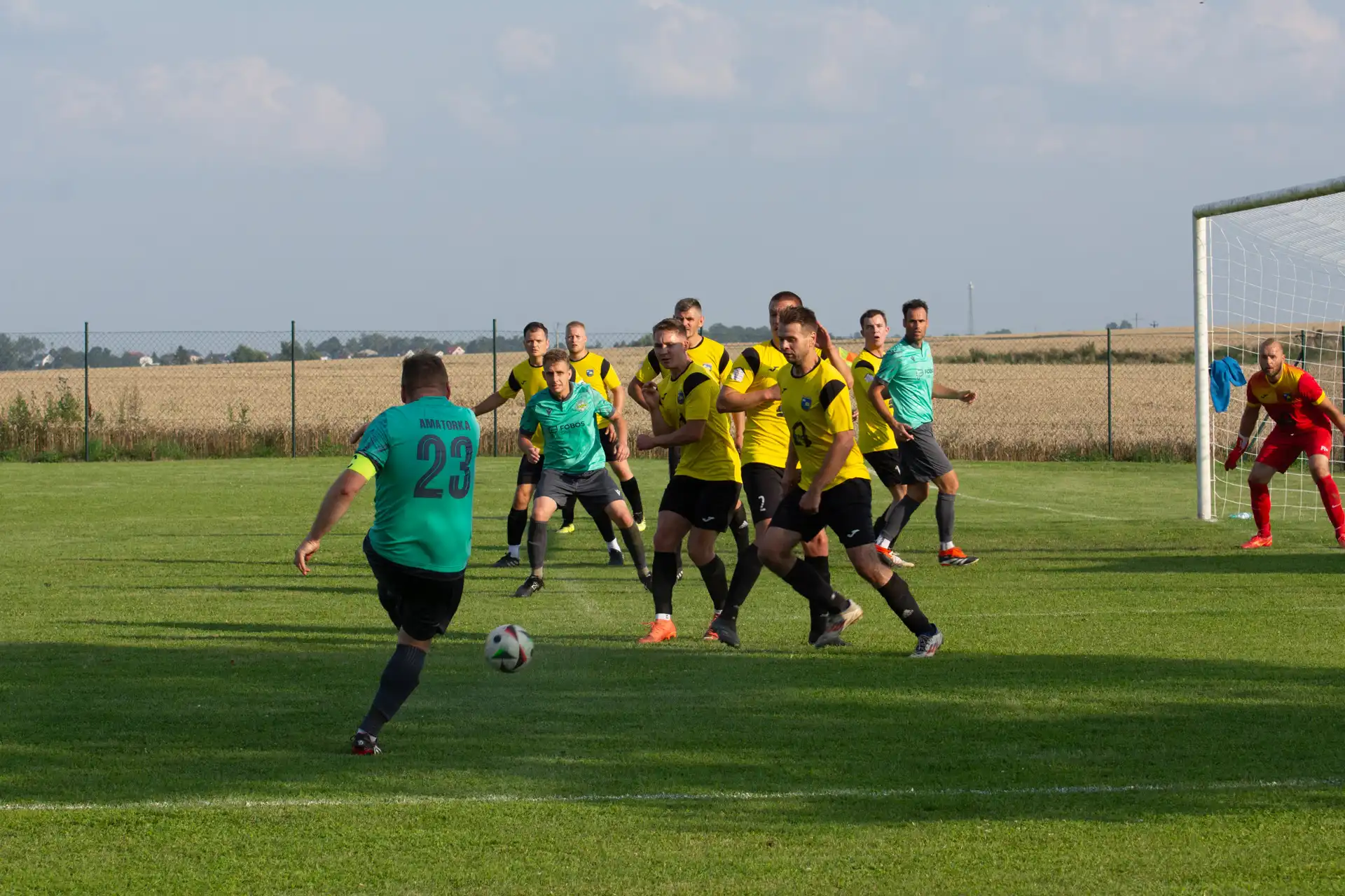 113.webp