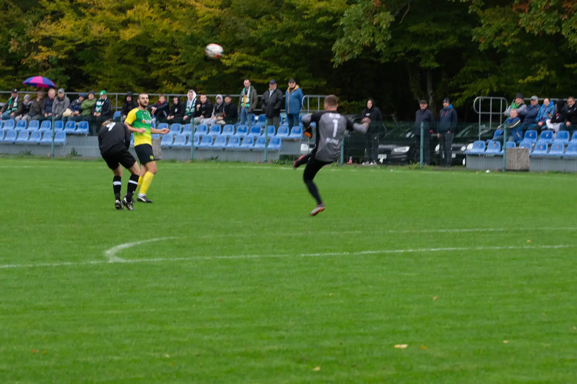 DSC_2219.webp