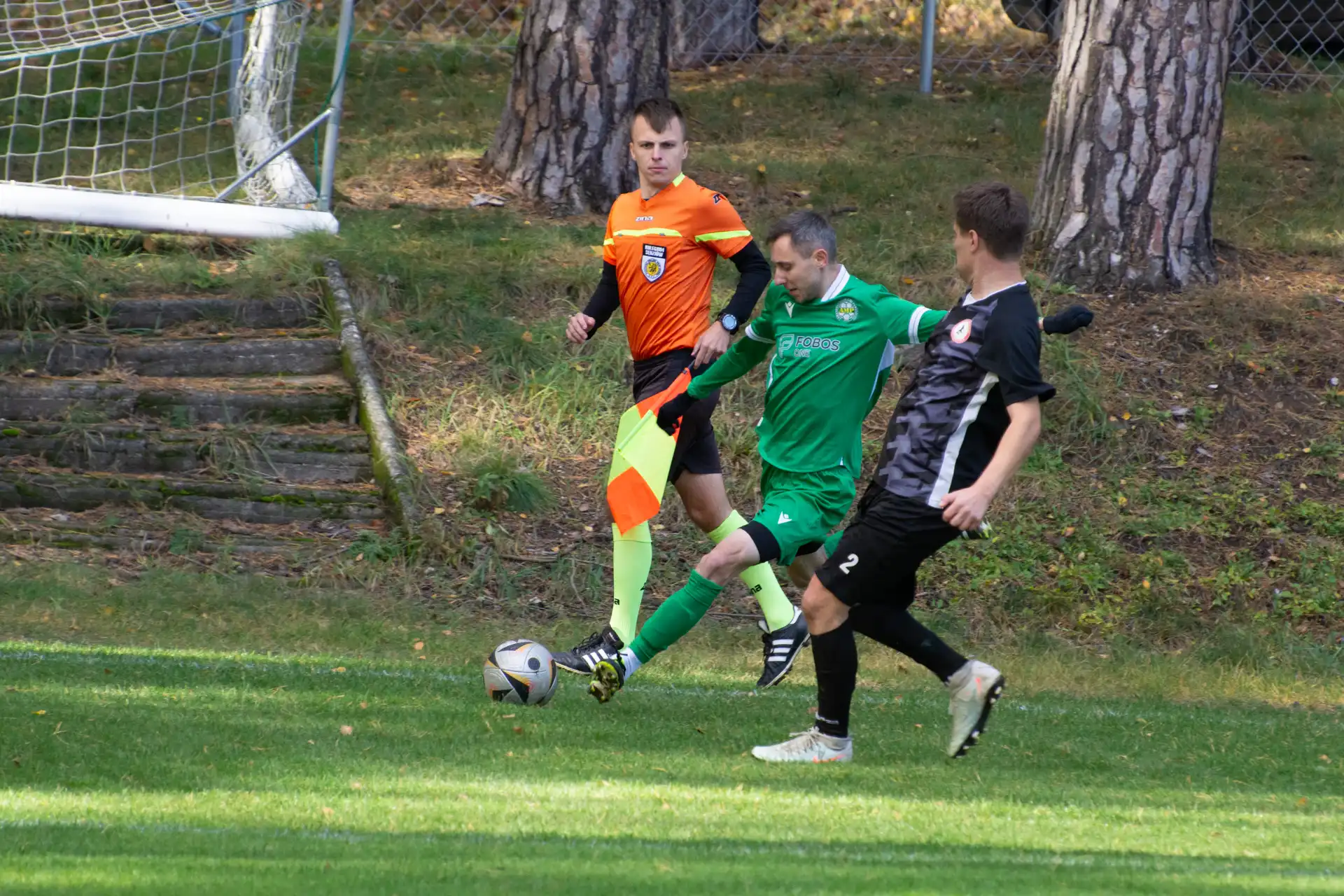 DSC_2383.webp