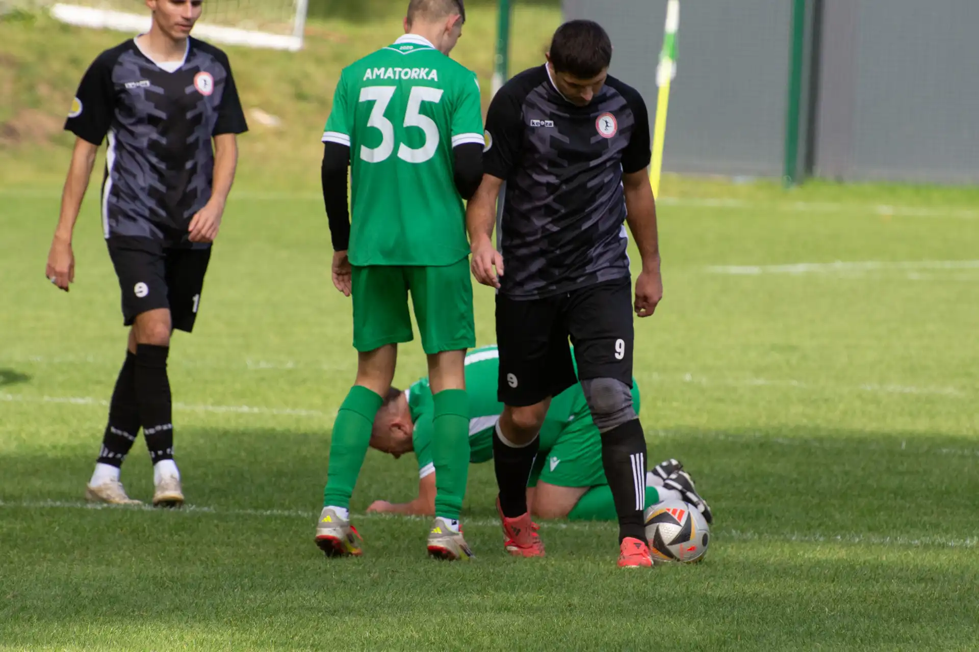 DSC_2385.webp