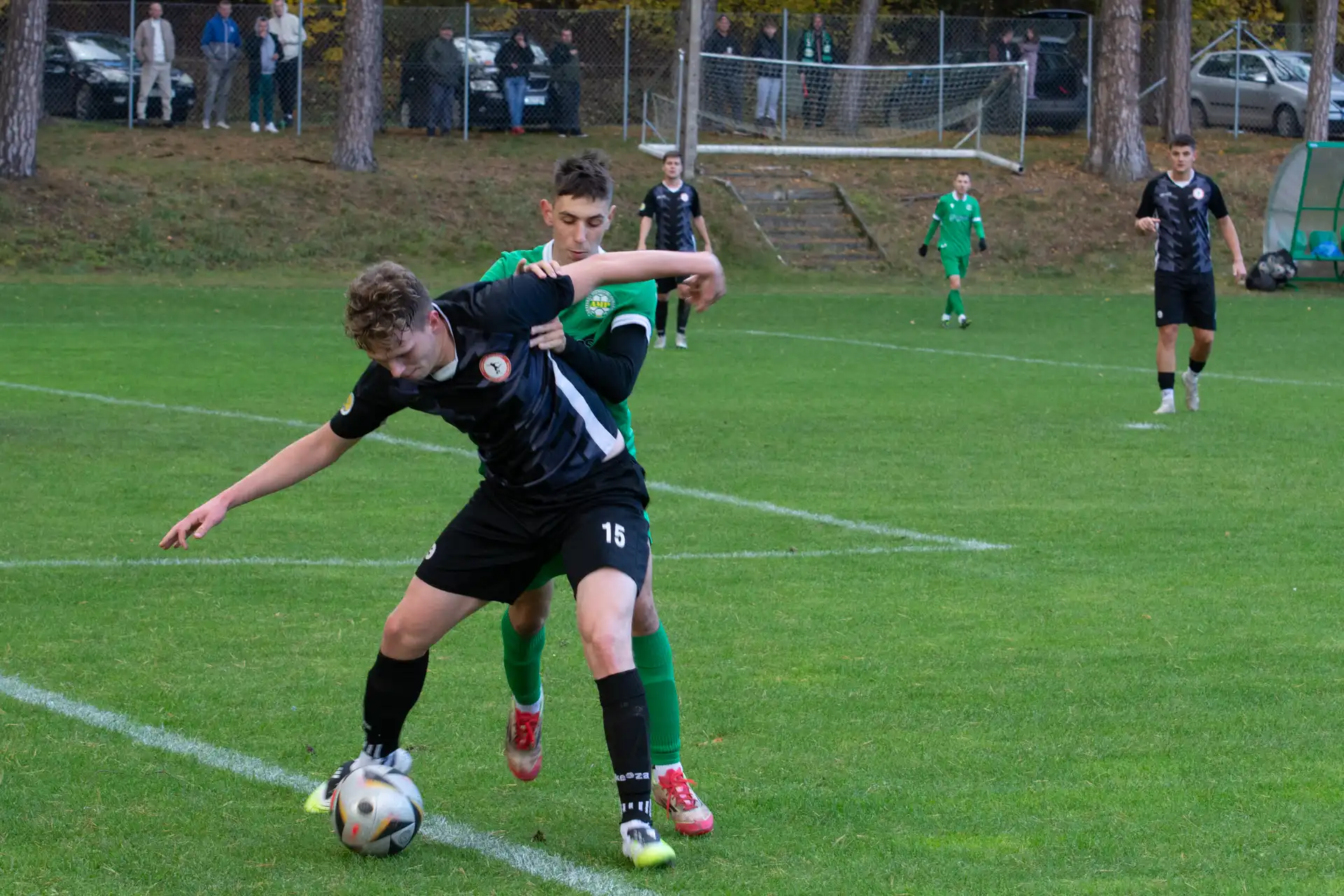 DSC_2419.webp
