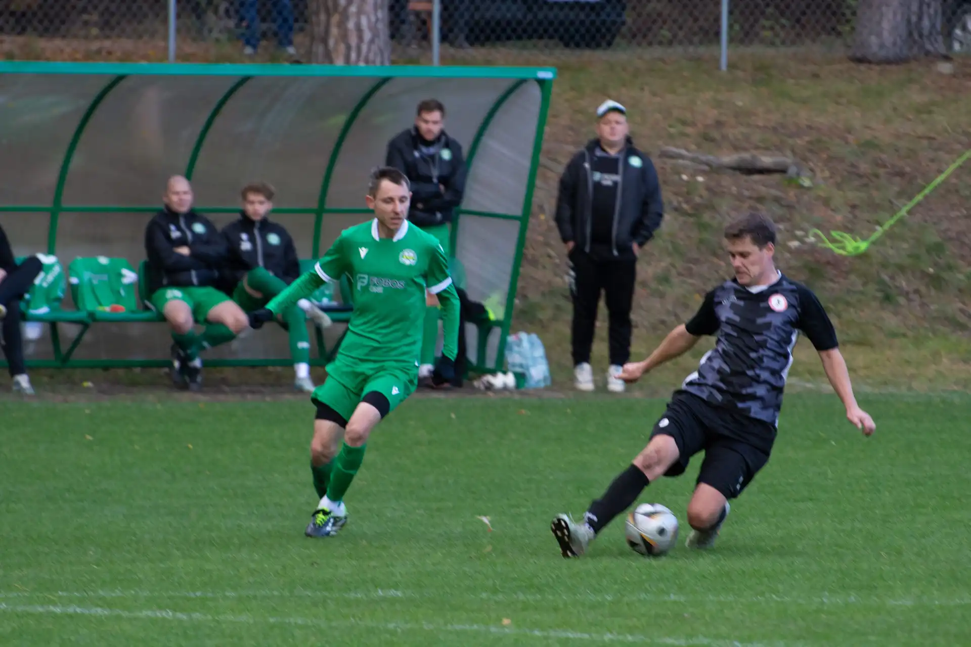 DSC_2422.webp
