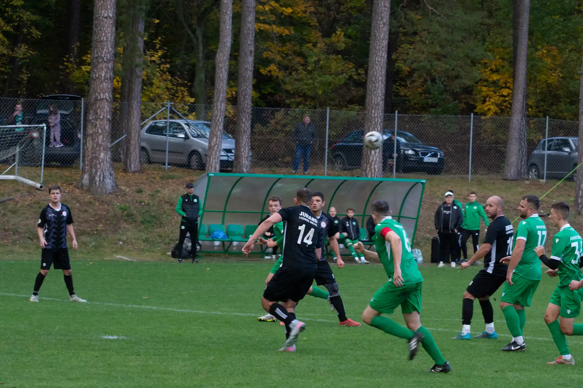 DSC_2429.webp