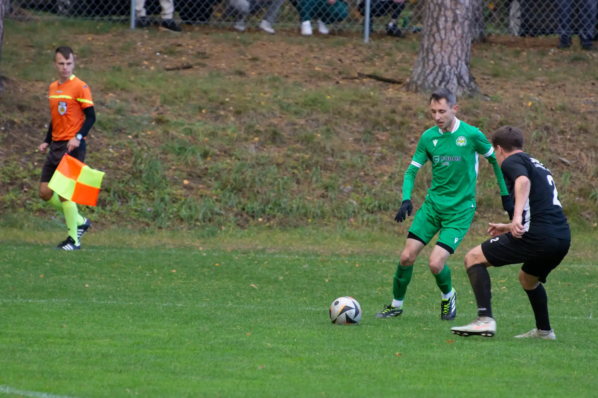 DSC_2431.webp