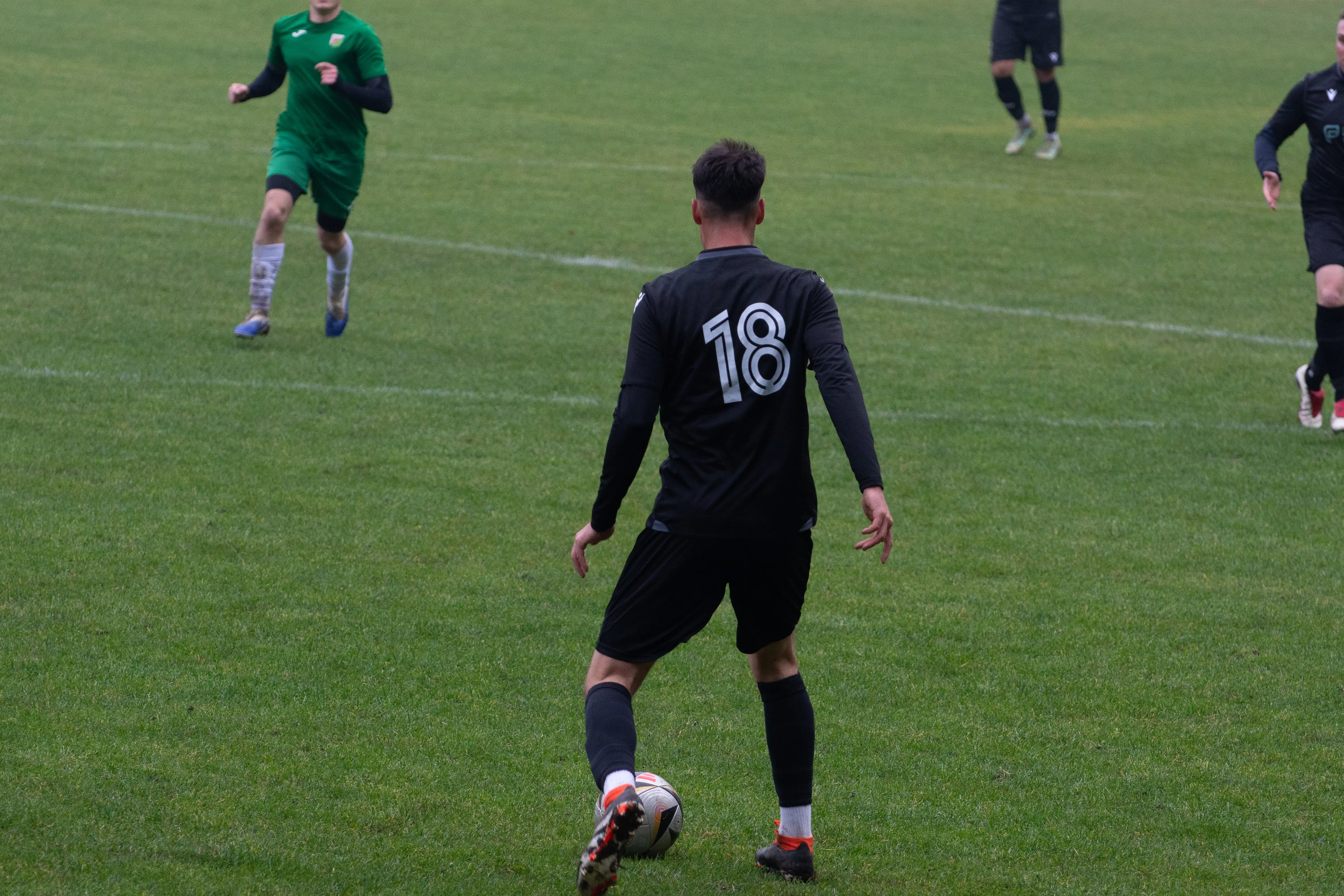 DSC_2599.webp