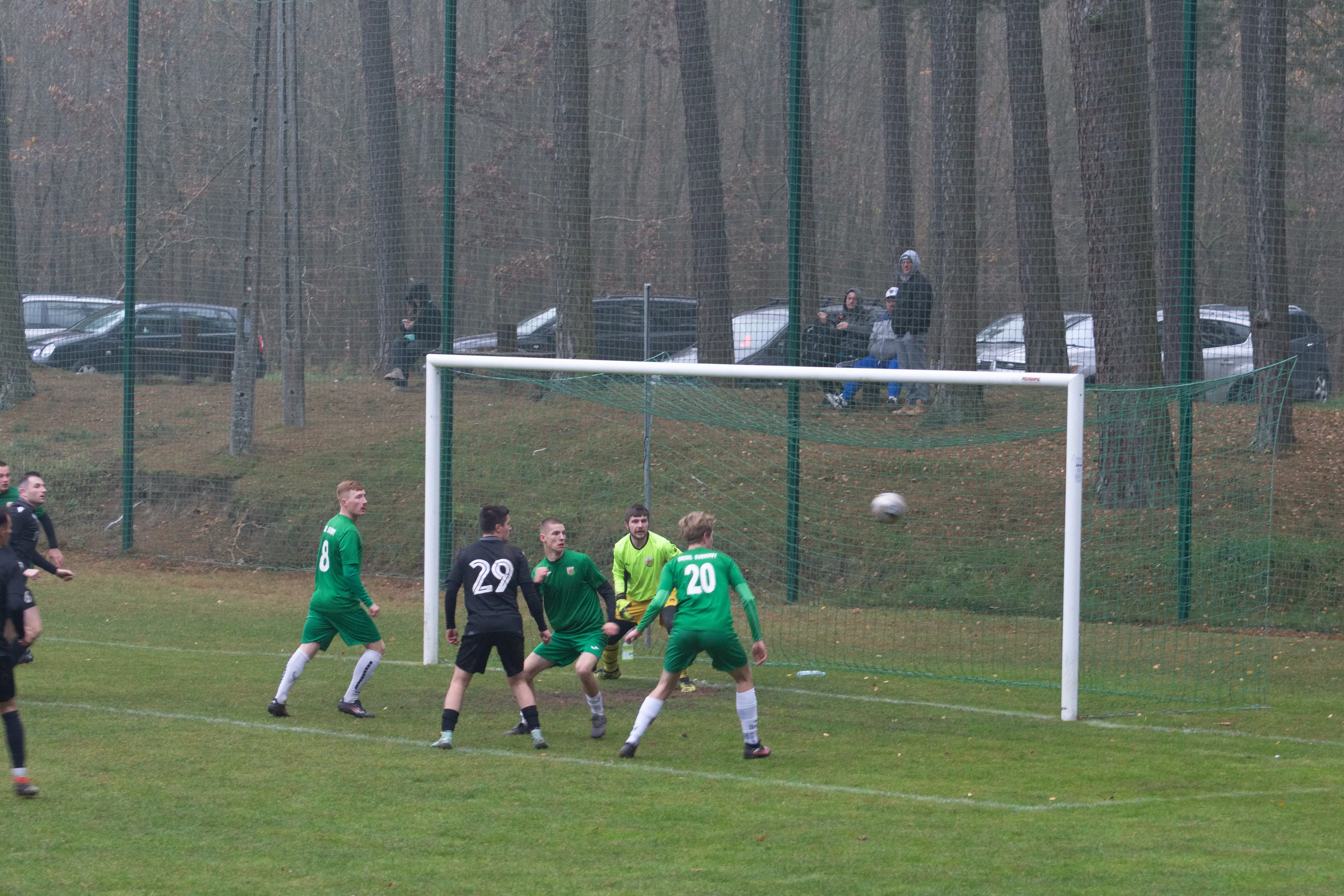 DSC_2643.webp