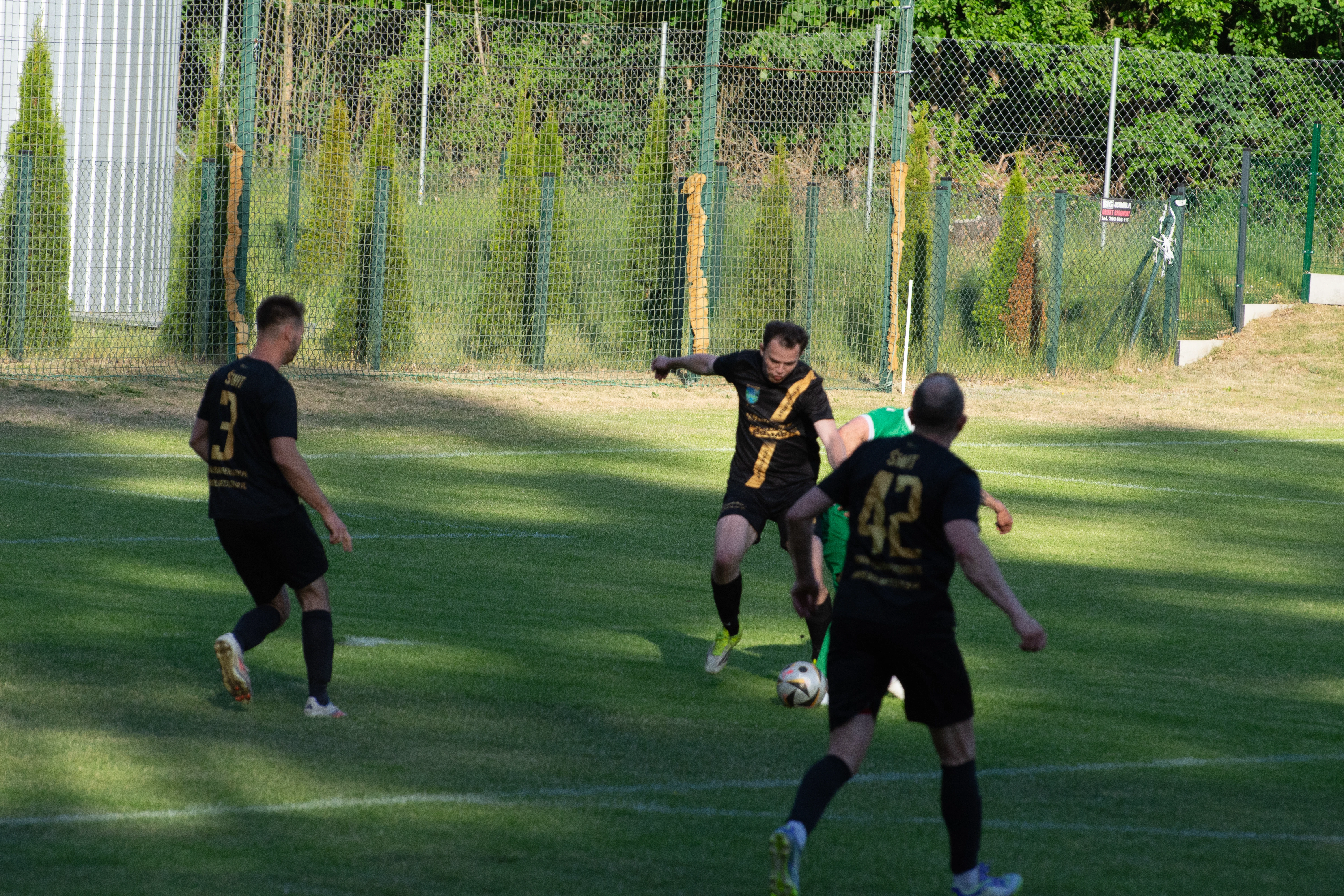 DSC_4372.webp