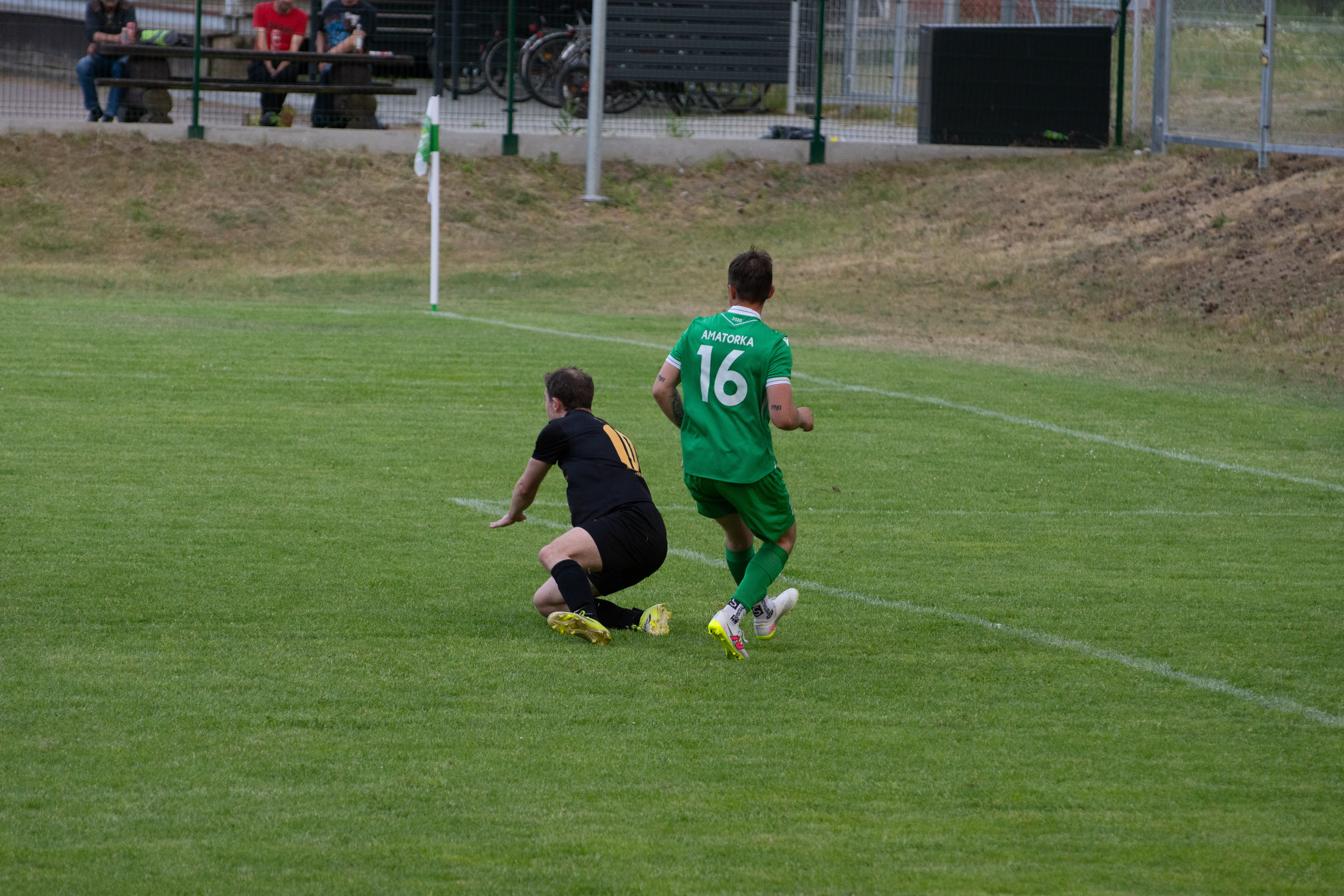 DSC_4433.webp