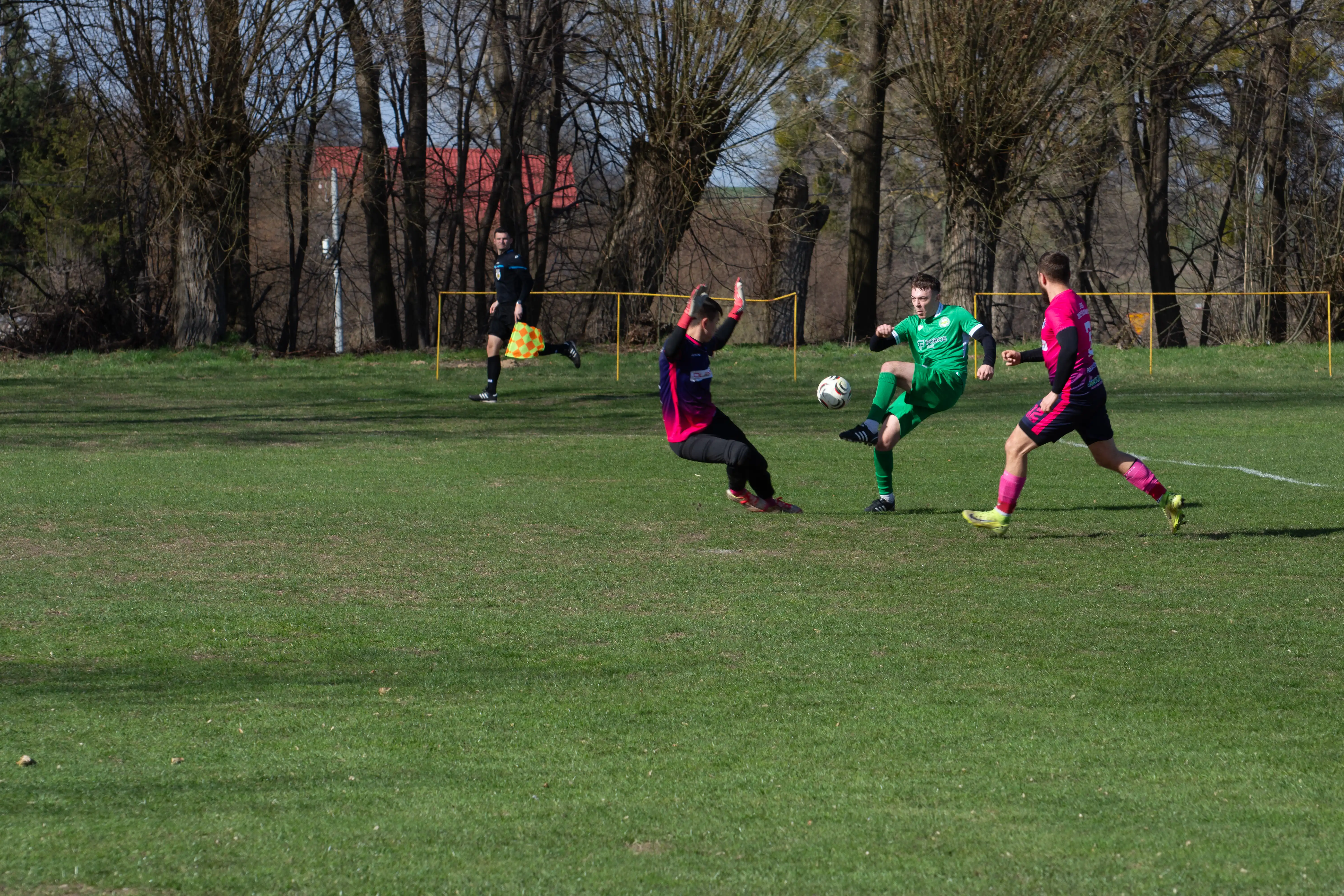 DSC_3084.webp