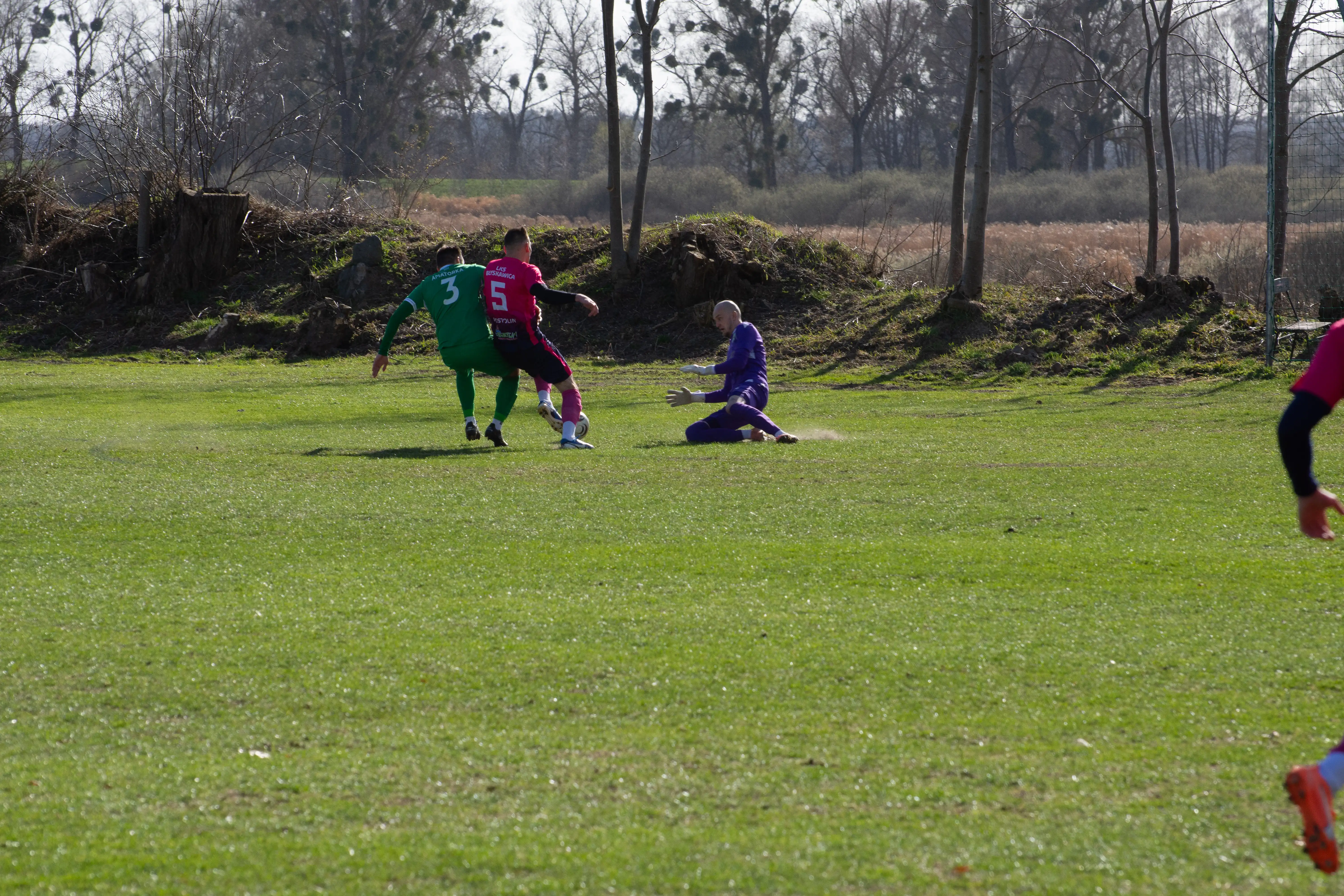 DSC_3114.webp