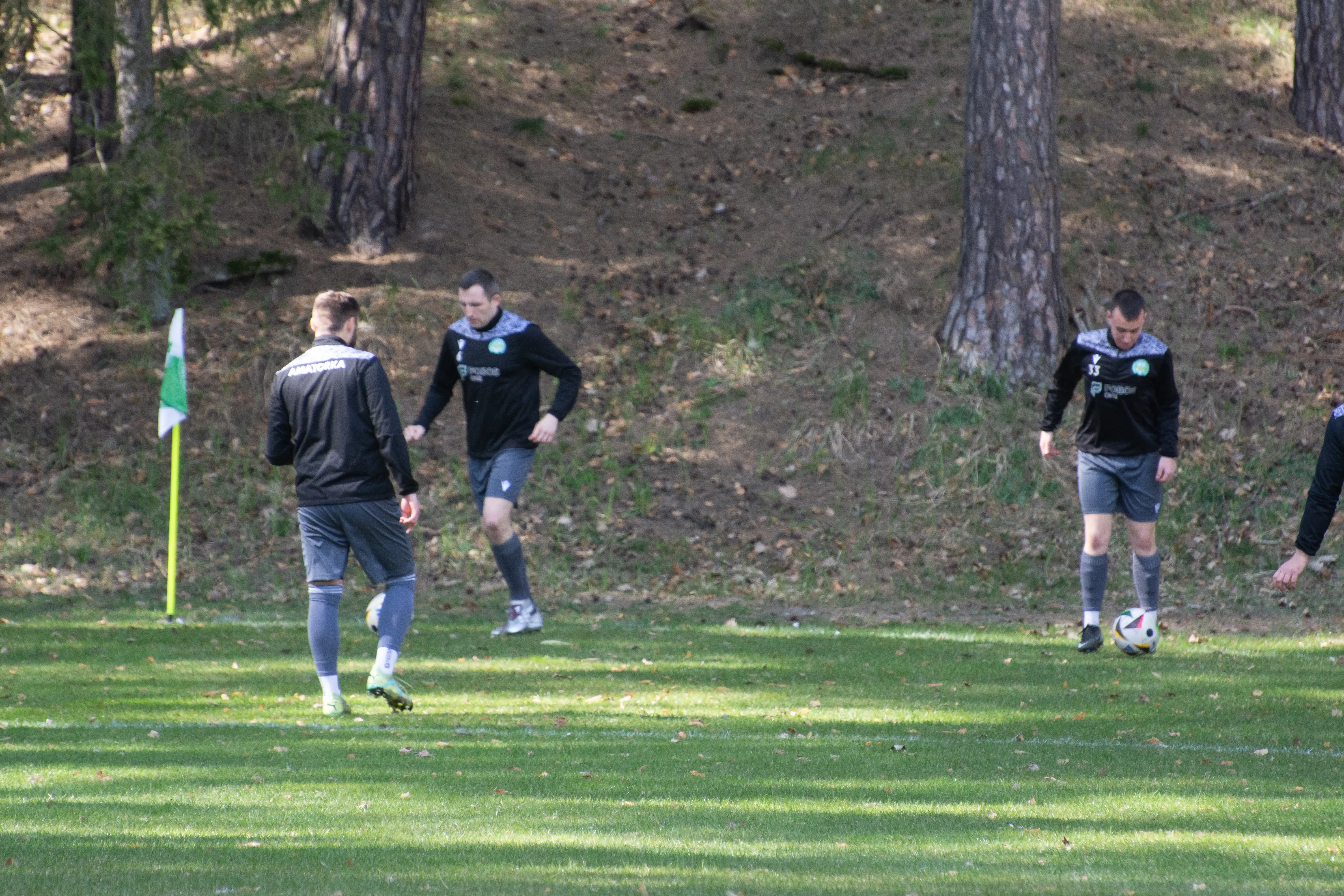 DSC_3170.webp