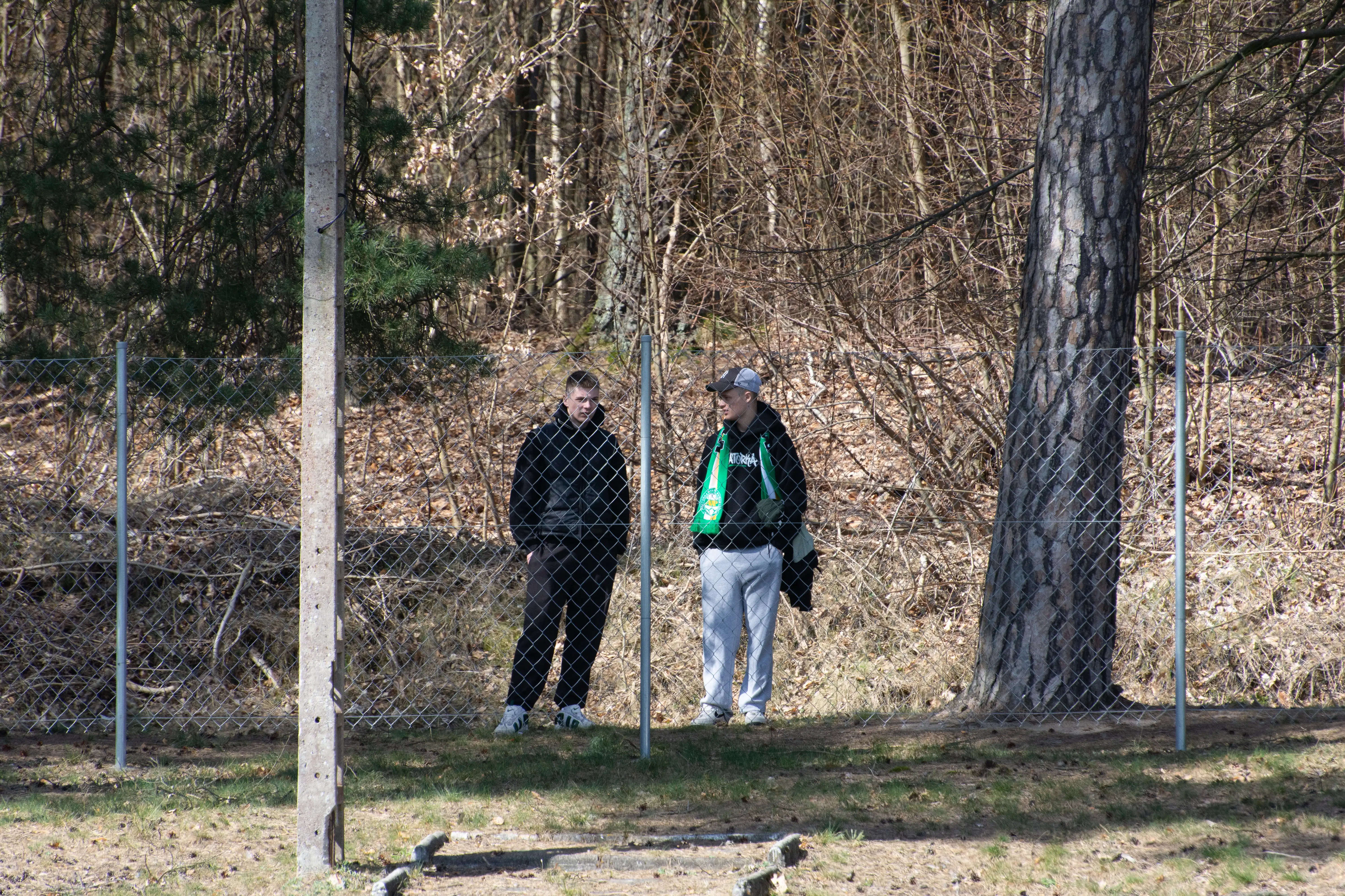 DSC_3176.webp