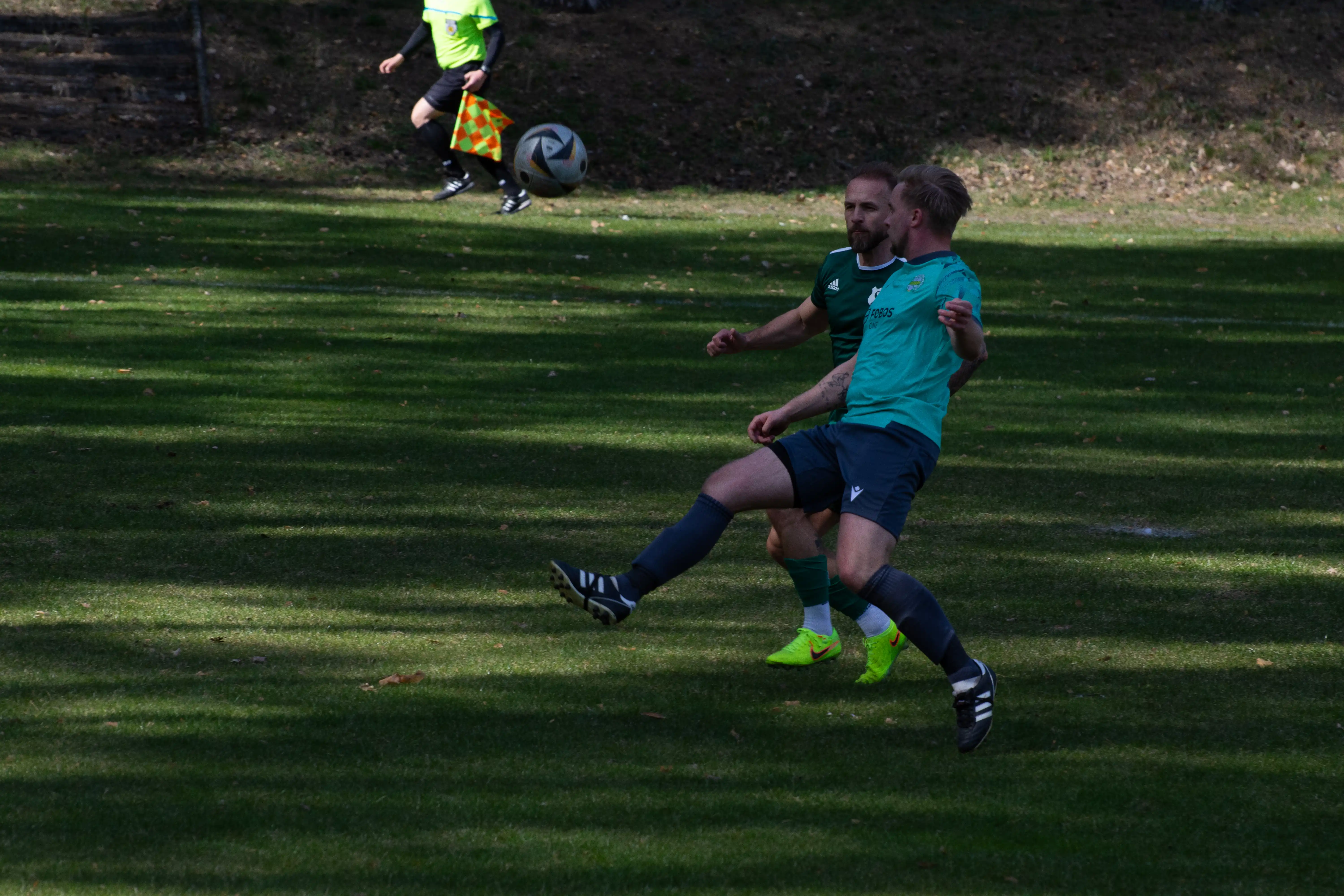 DSC_3235.webp