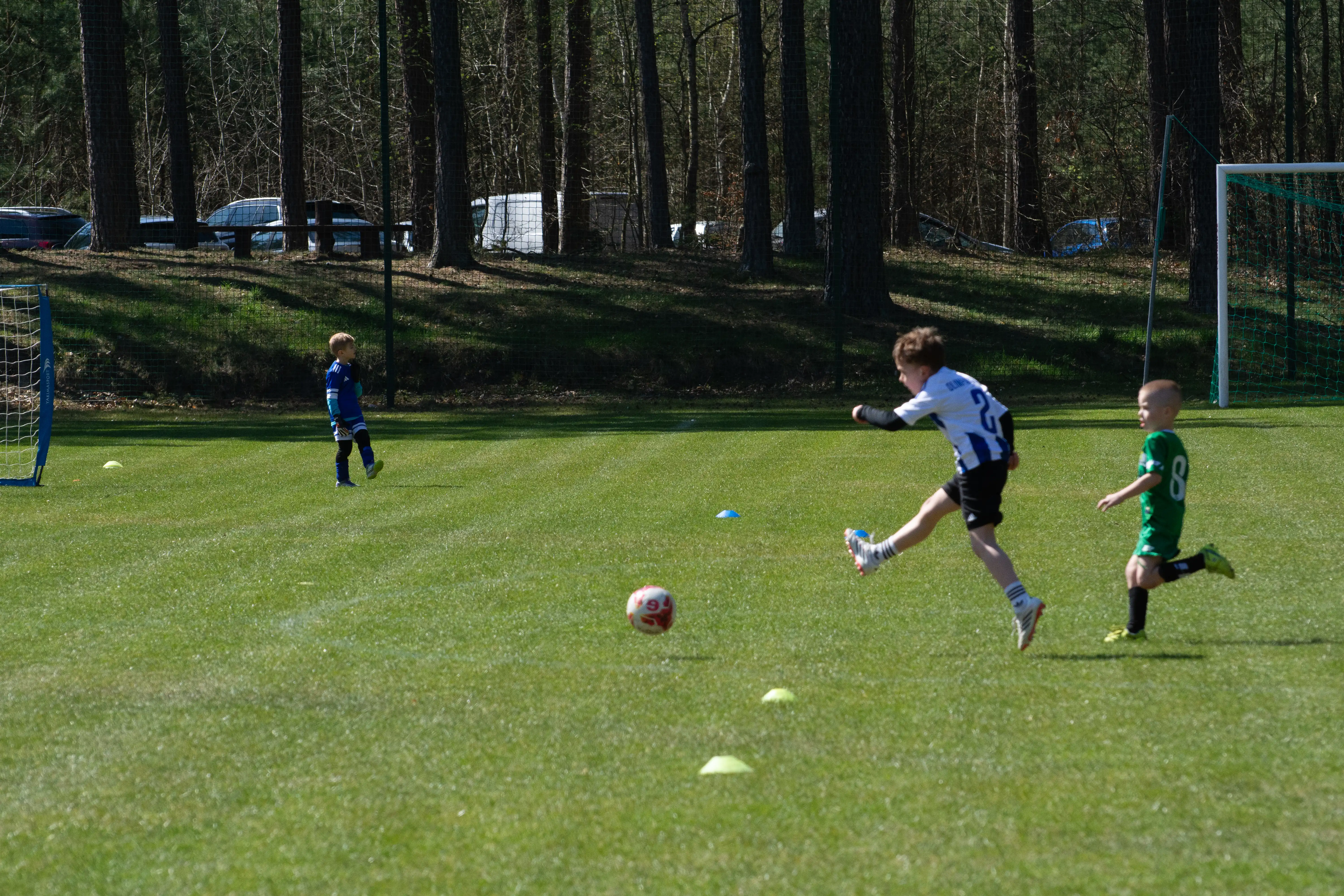 DSC_3399.webp