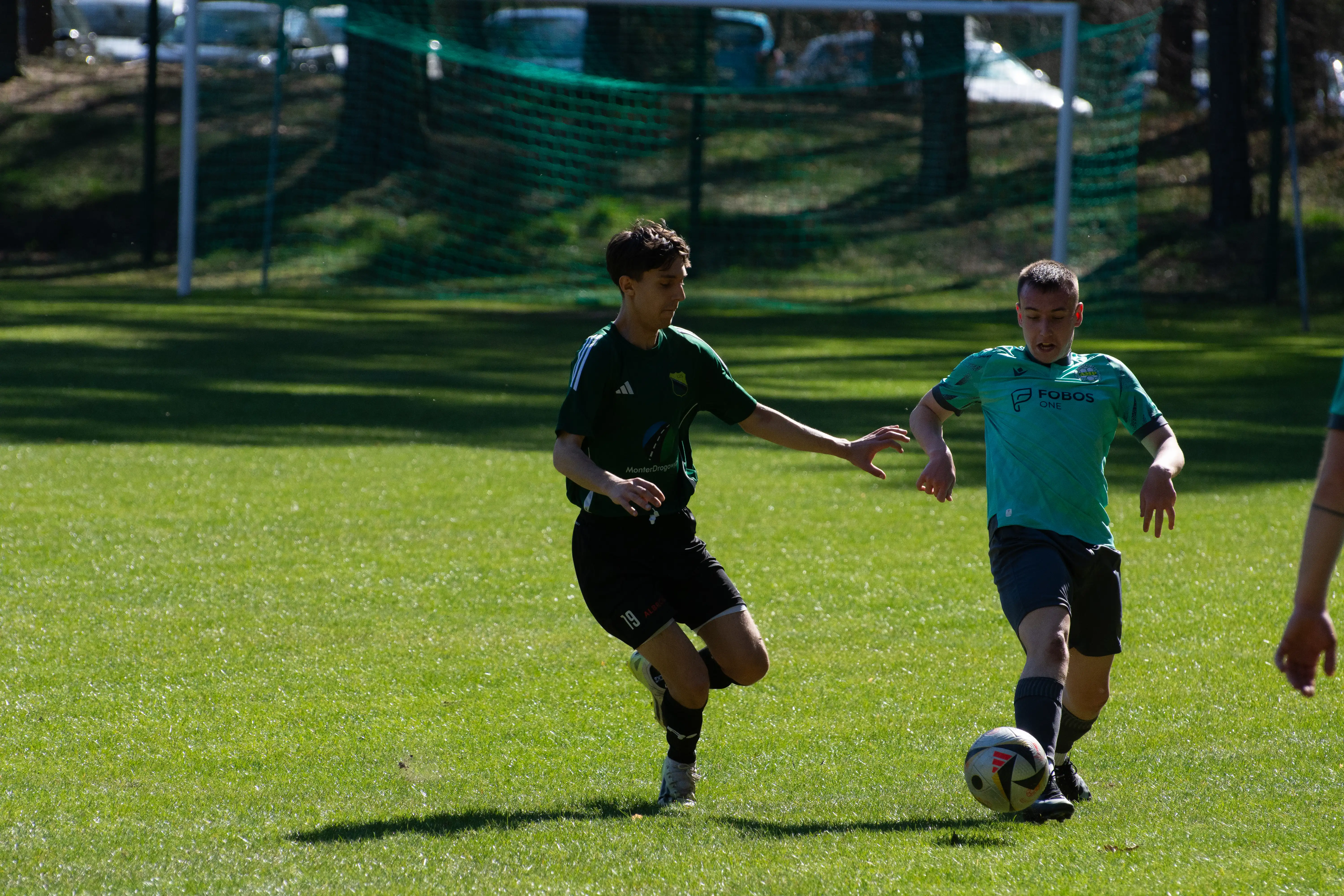 DSC_3451.webp
