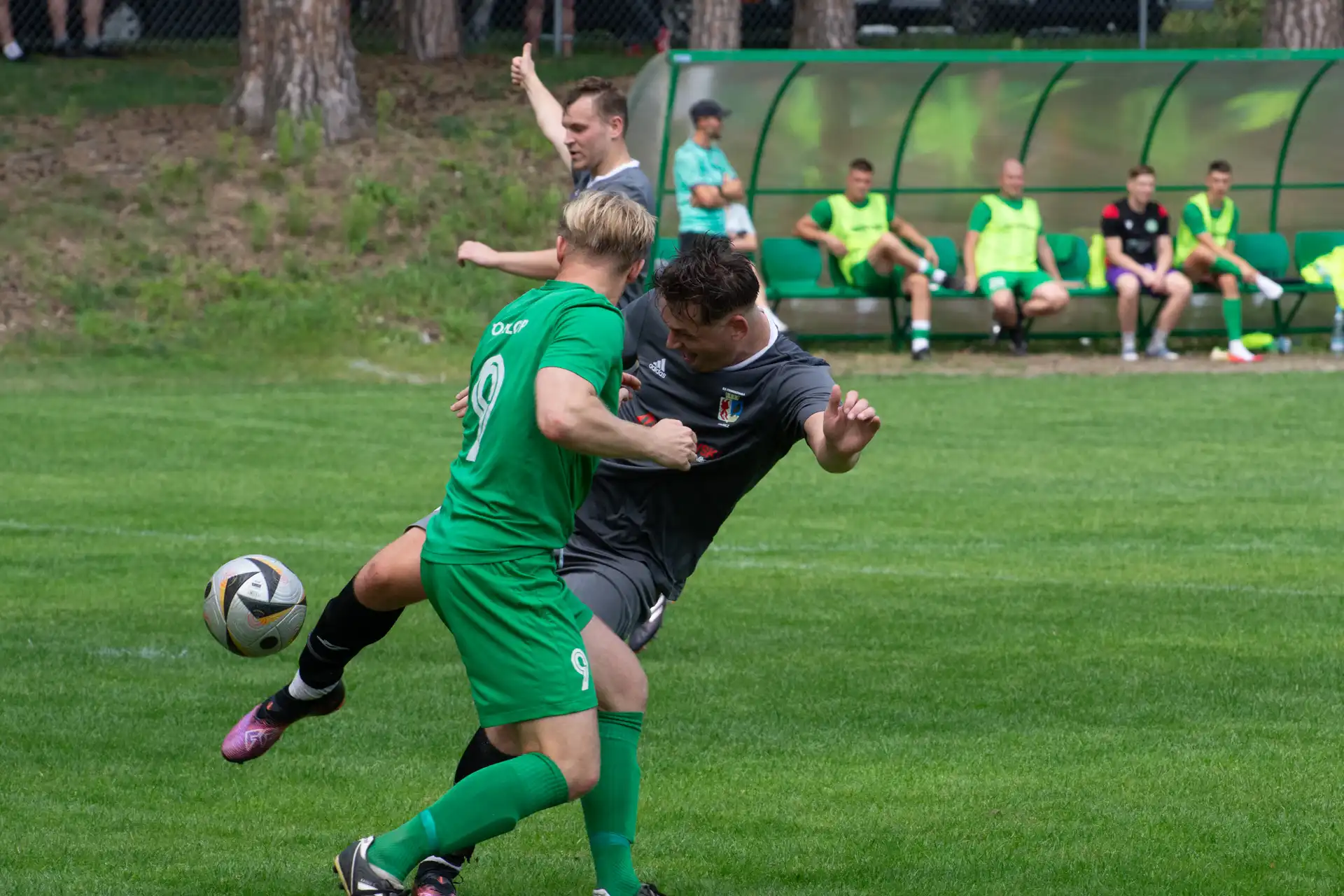 DSC_0944.webp